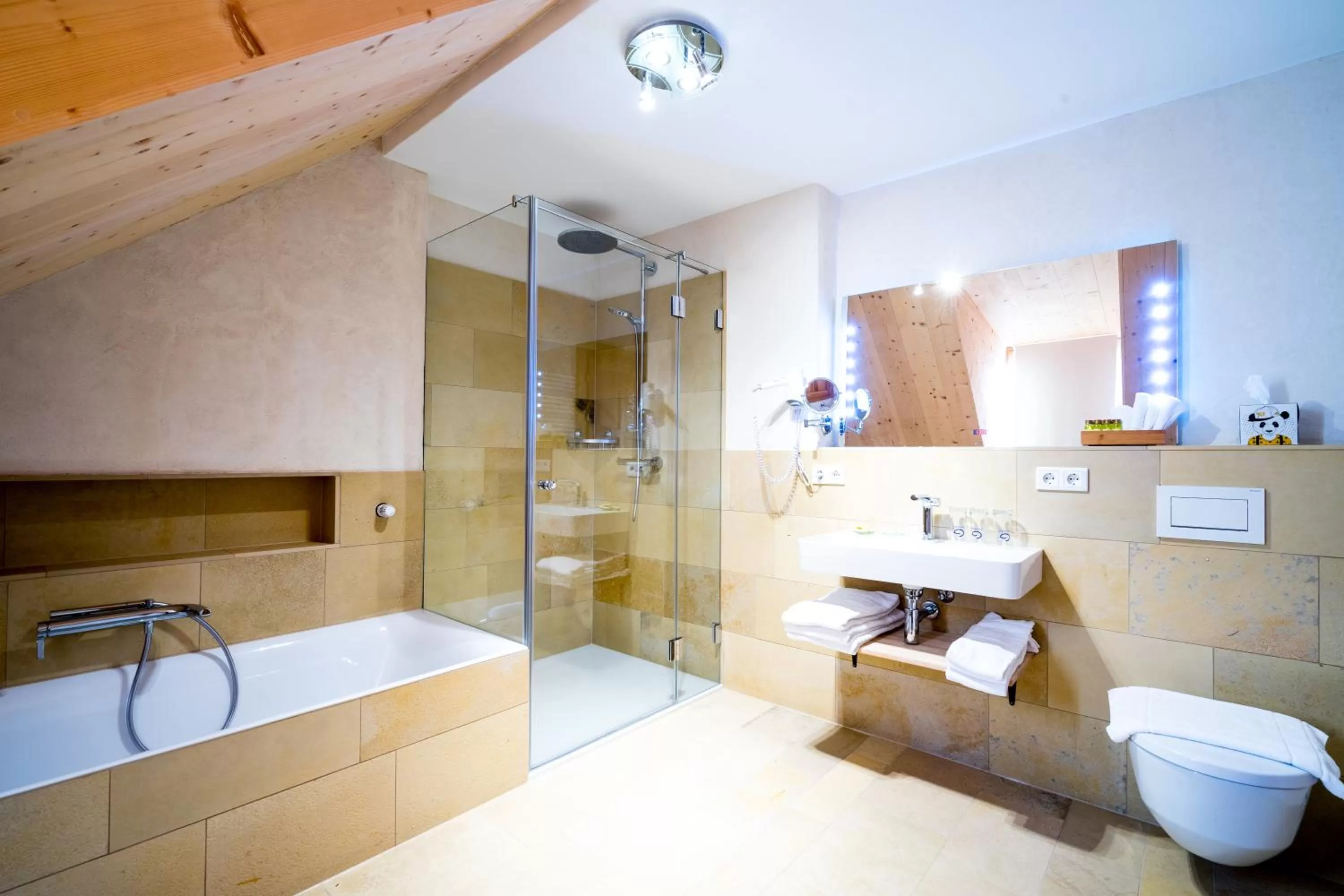 Shower in Hotel Rote19