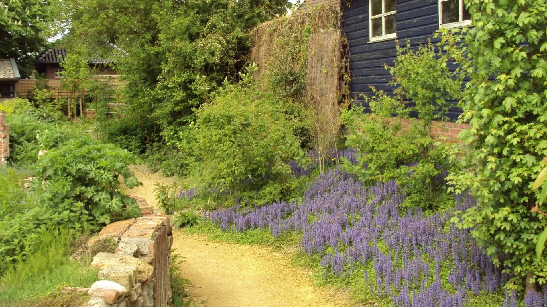 Garden in Logement 'De witte klok'