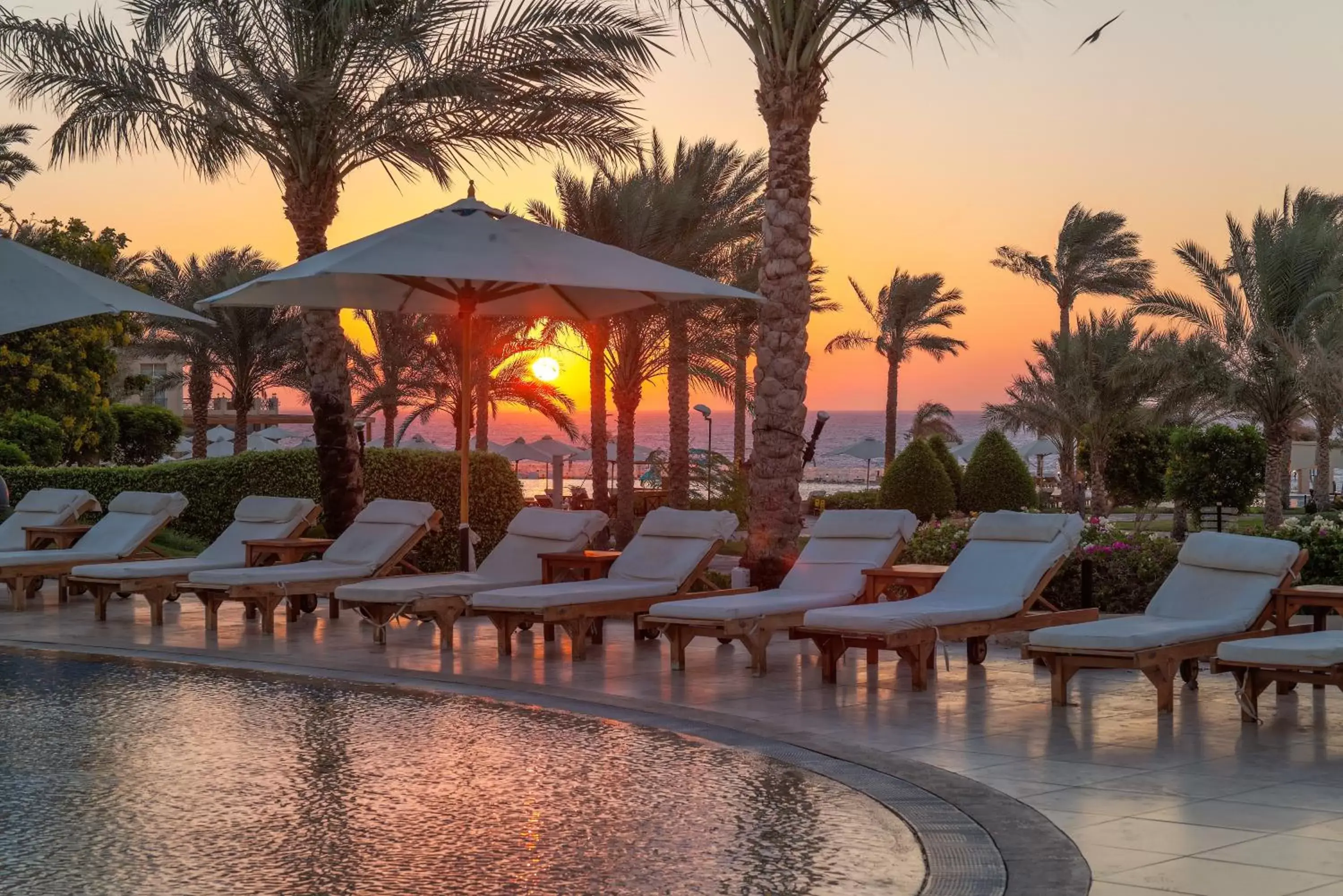 View (from property/room), Sunrise/Sunset in Cleopatra Luxury Resort Sharm El Sheikh