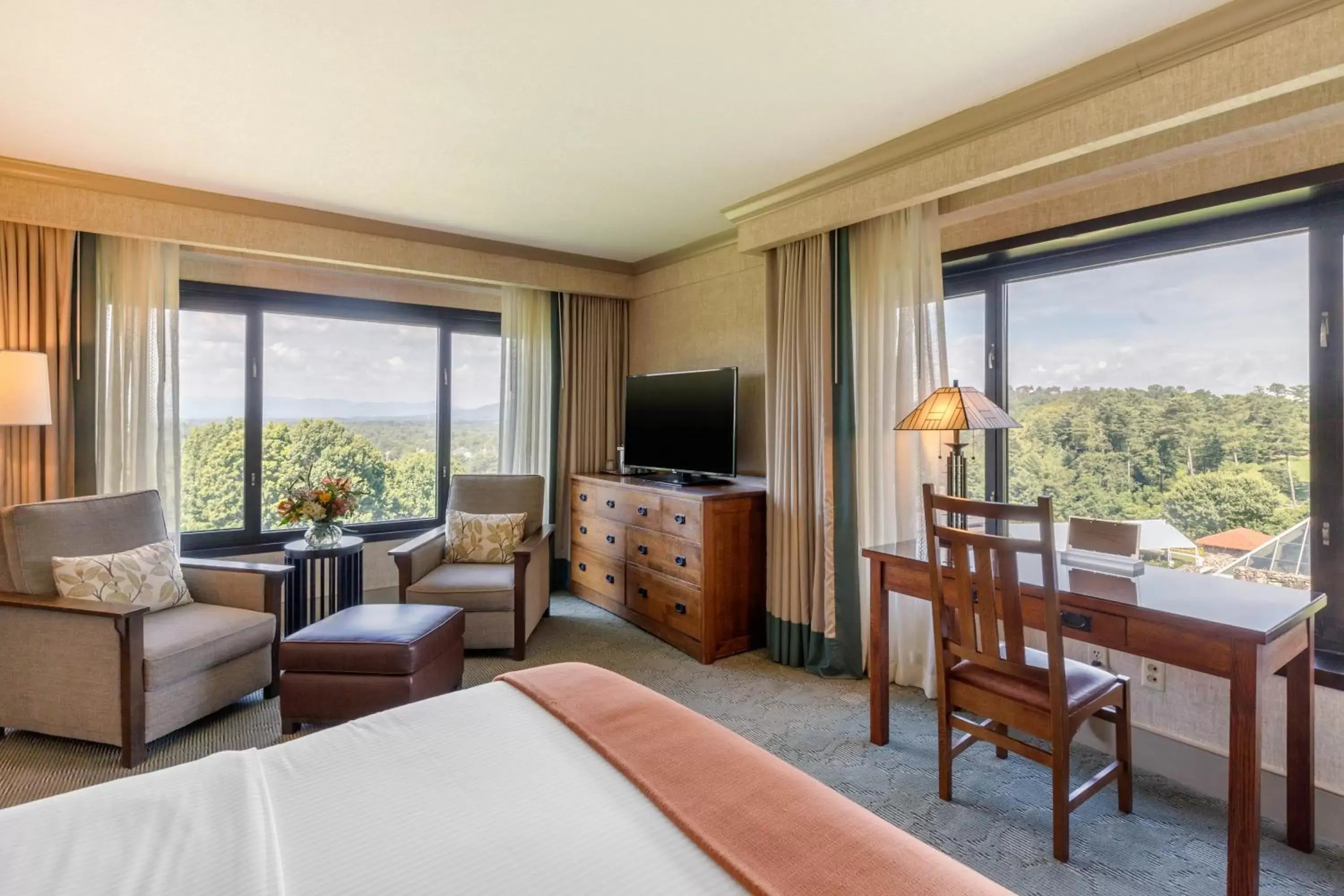 Photo of the whole room, View in The Omni Grove Park Inn - Asheville