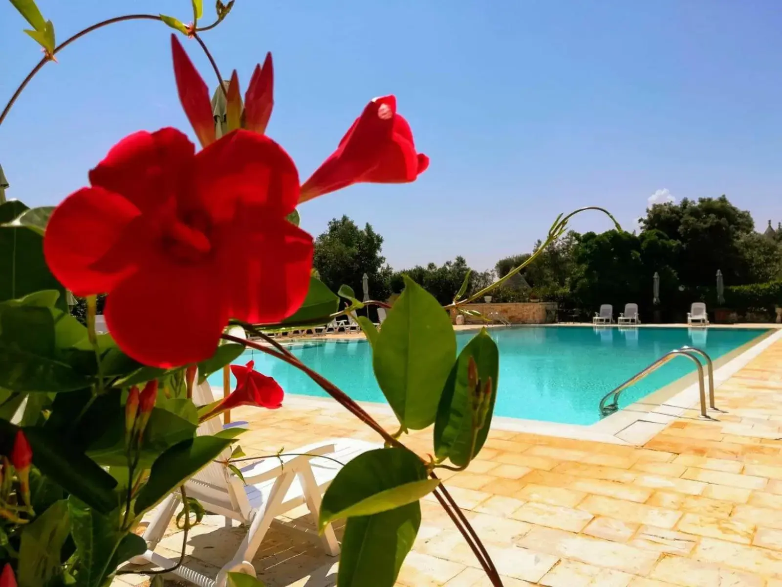 Property building, Swimming Pool in Residenza Aurora