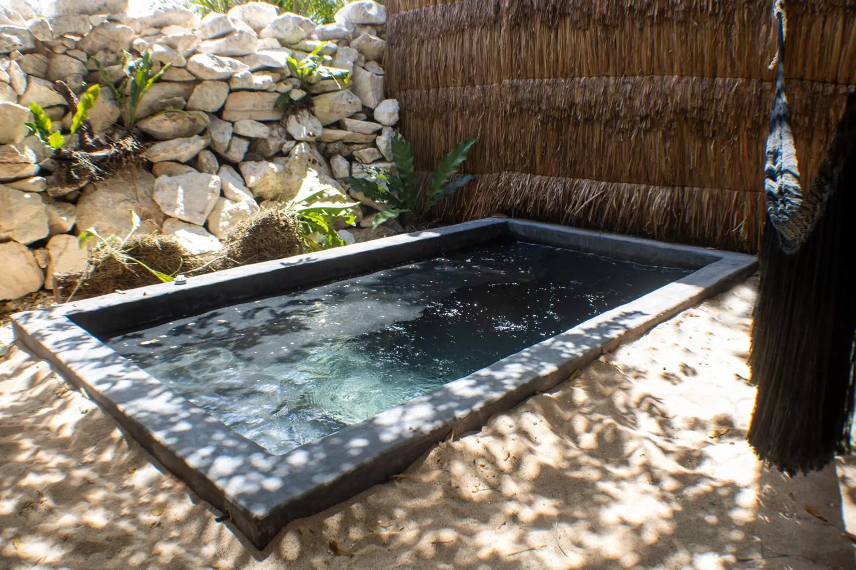 Swimming Pool in BH HOTEL & CENOTE TULUM - Adults Only