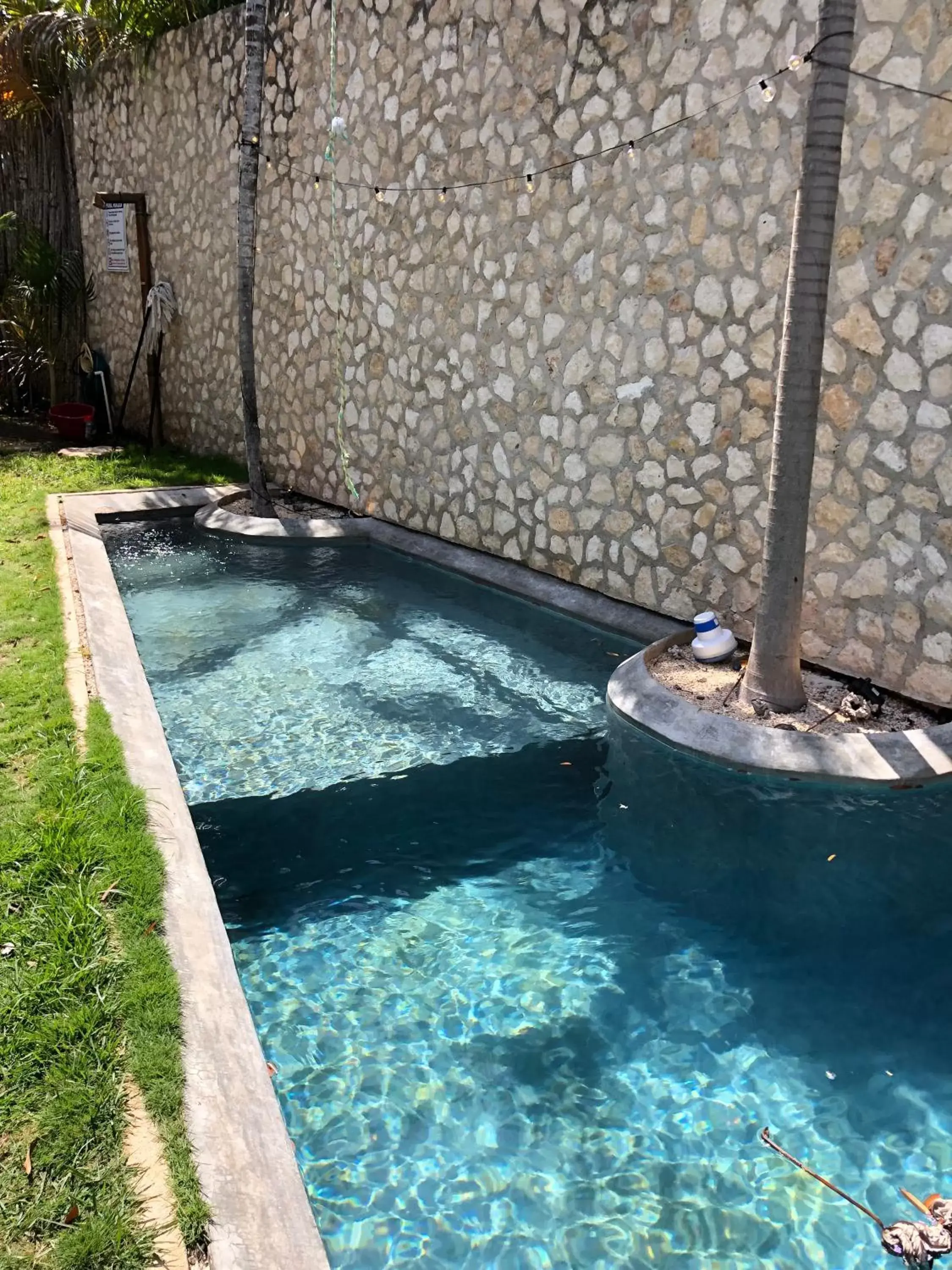 Swimming Pool in BAU Tulum