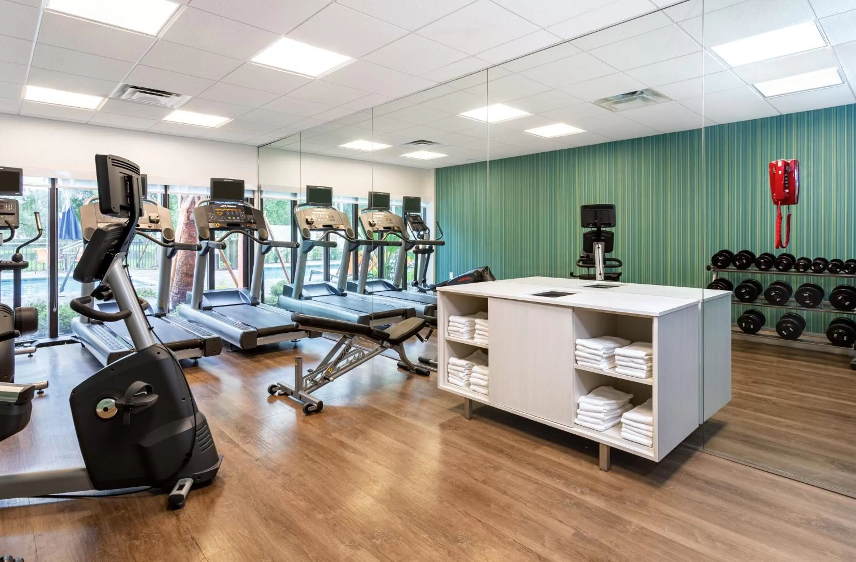 Fitness centre/facilities in Holiday Inn Express Tampa-Brandon by IHG