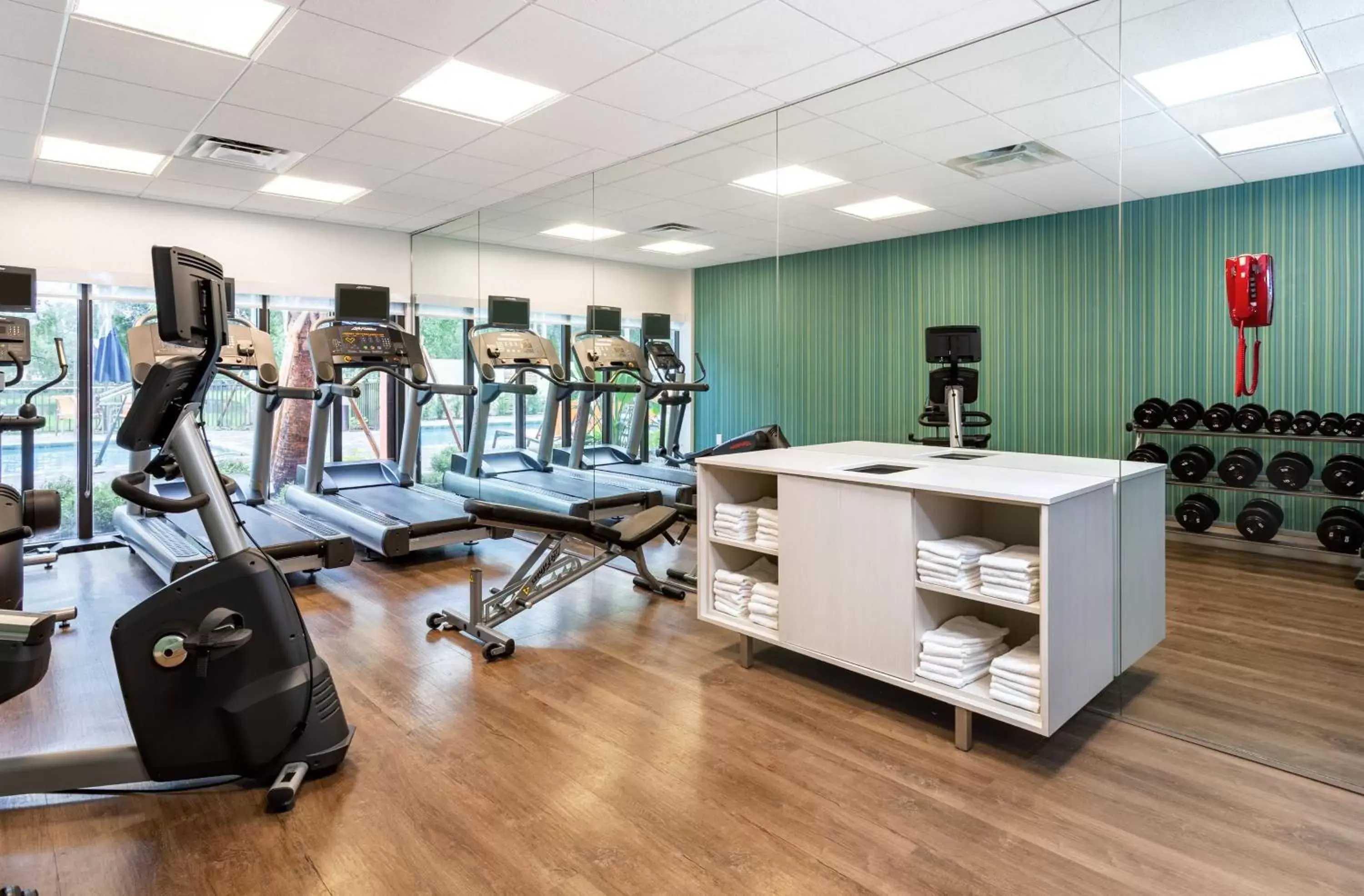 Fitness centre/facilities, Fitness Center/Facilities in Holiday Inn Express Tampa-Brandon, an IHG Hotel