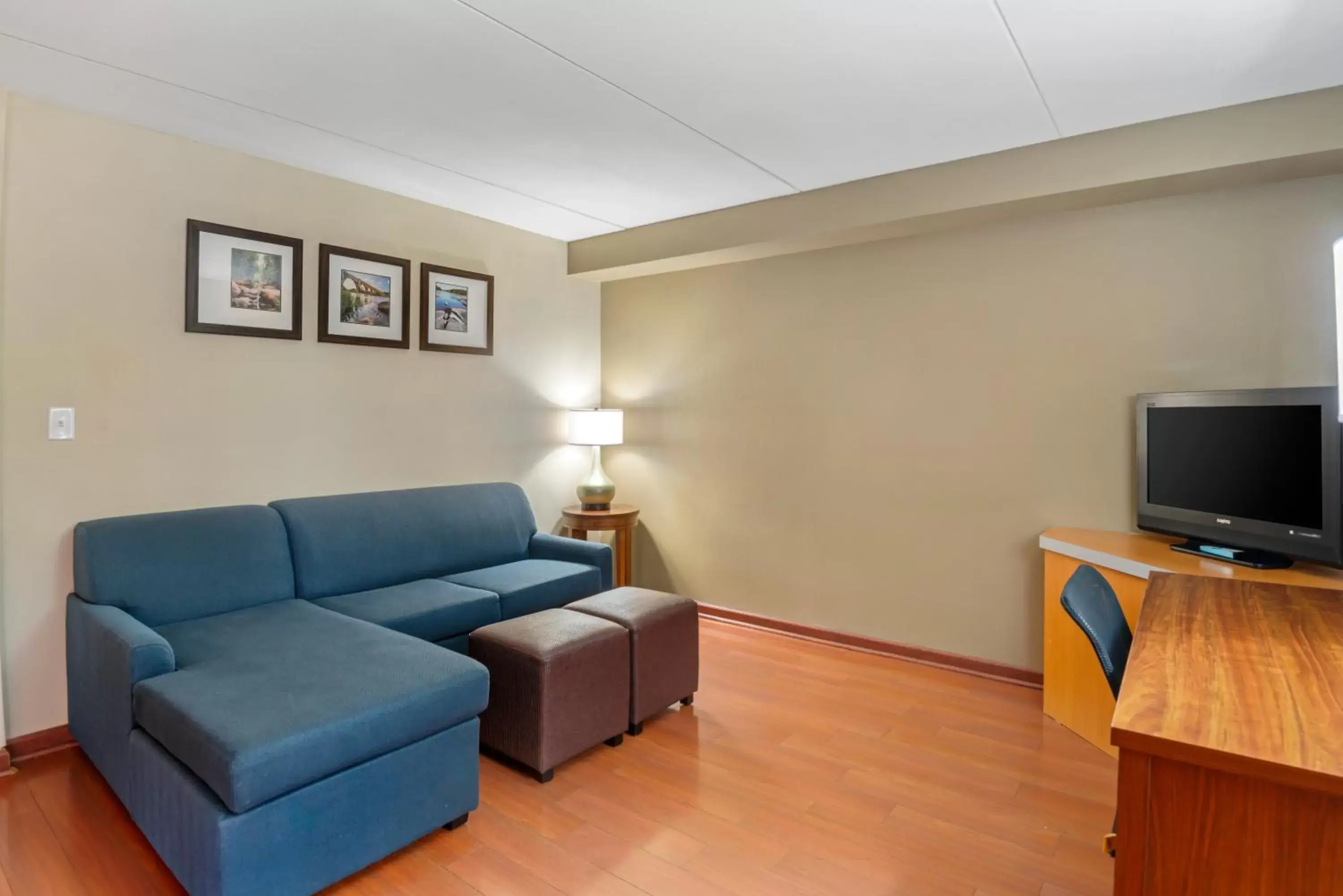 Seating Area in Comfort Suites at Virginia Center Commons