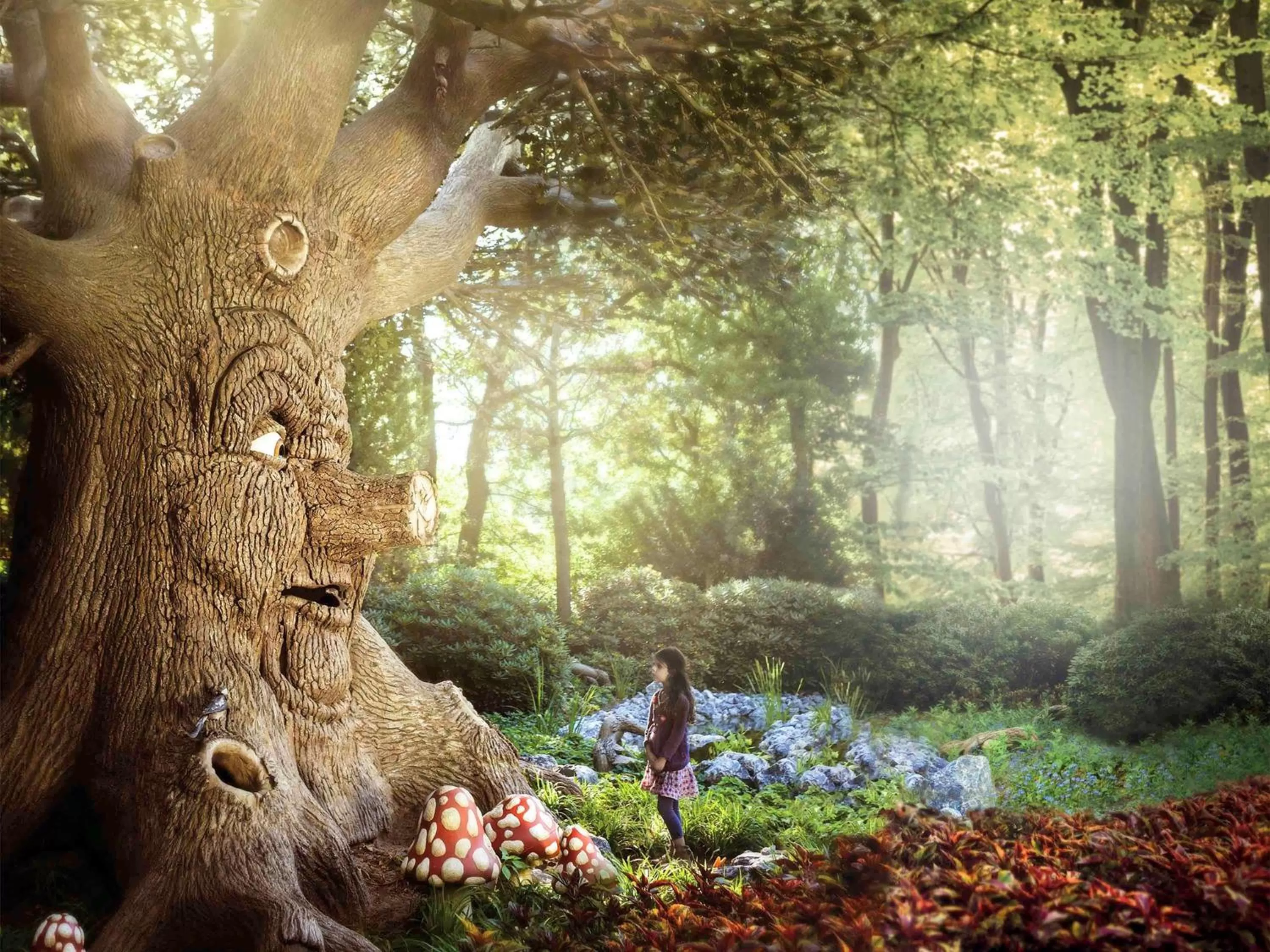 Other in ibis Tilburg