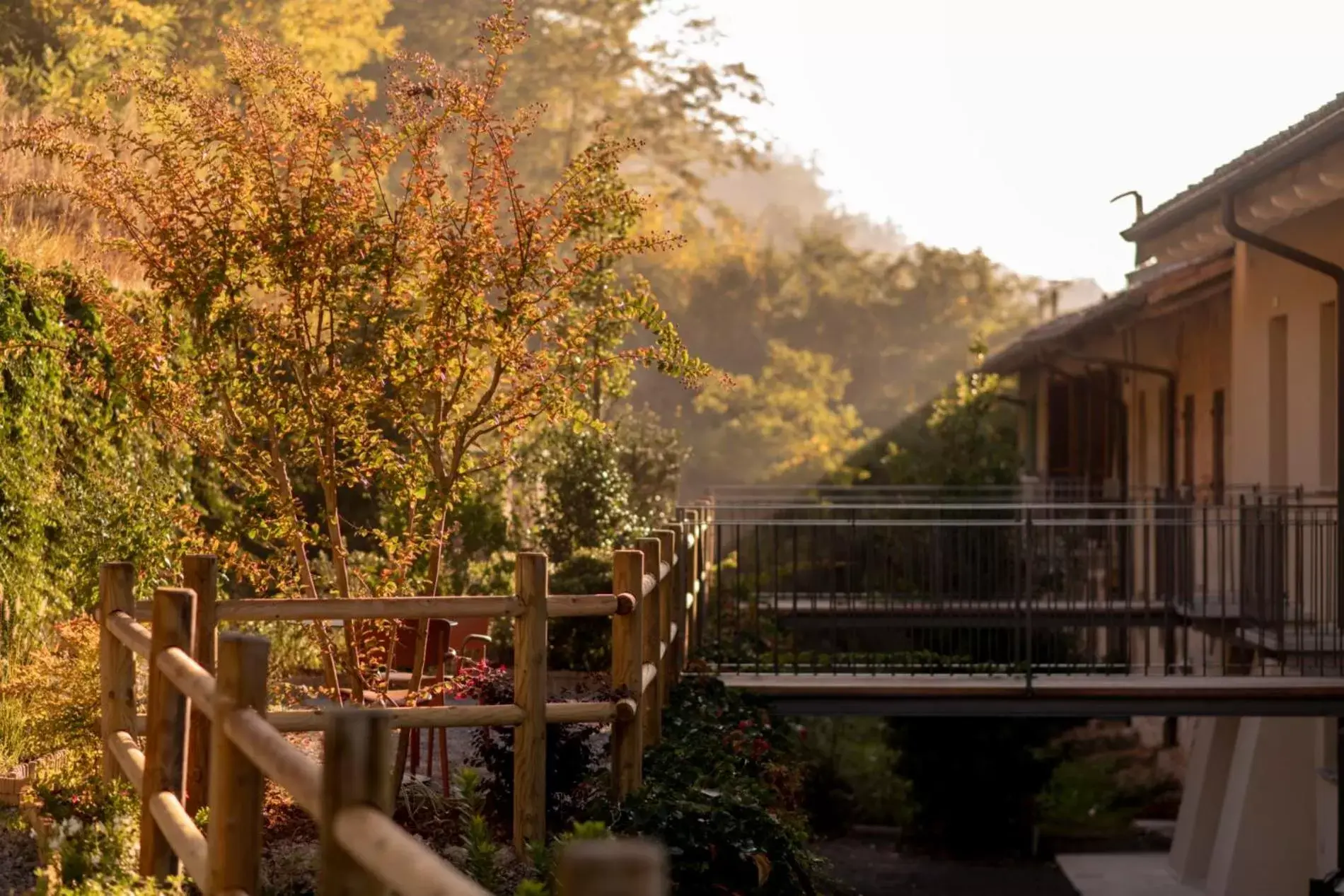 Patio in Parco Reala // Rural - Luxury - Rooms