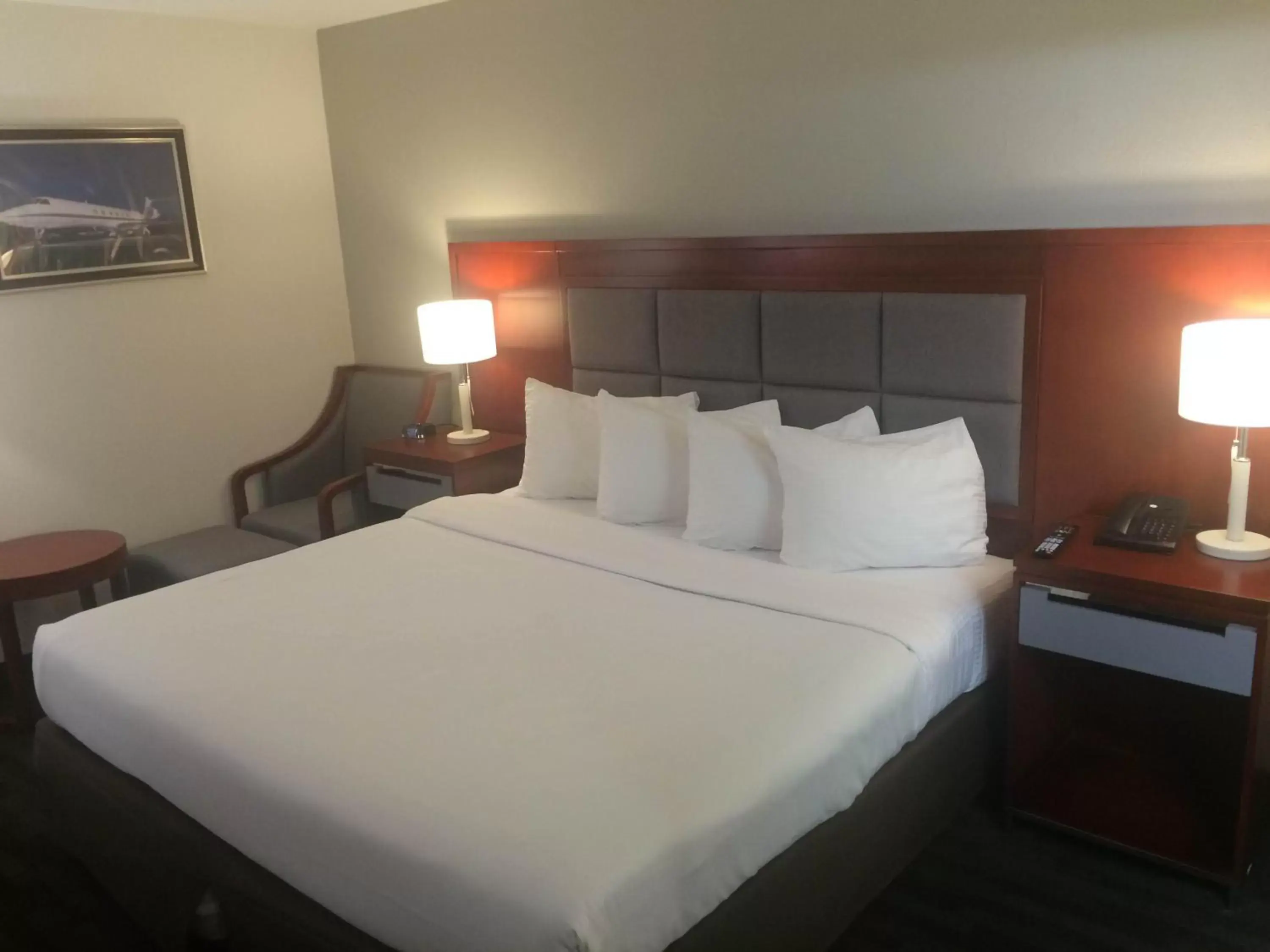 TV and multimedia, Room Photo in Ramada Plaza by Wyndham Chicago North Shore