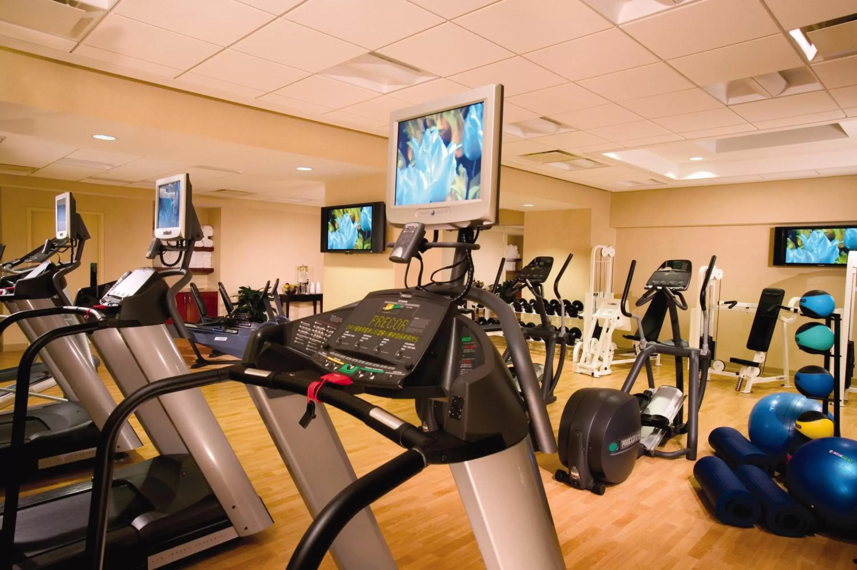 Spa and wellness centre/facilities, Fitness Center/Facilities in Omni Chicago All Suites Hotel-Magnificent Mile