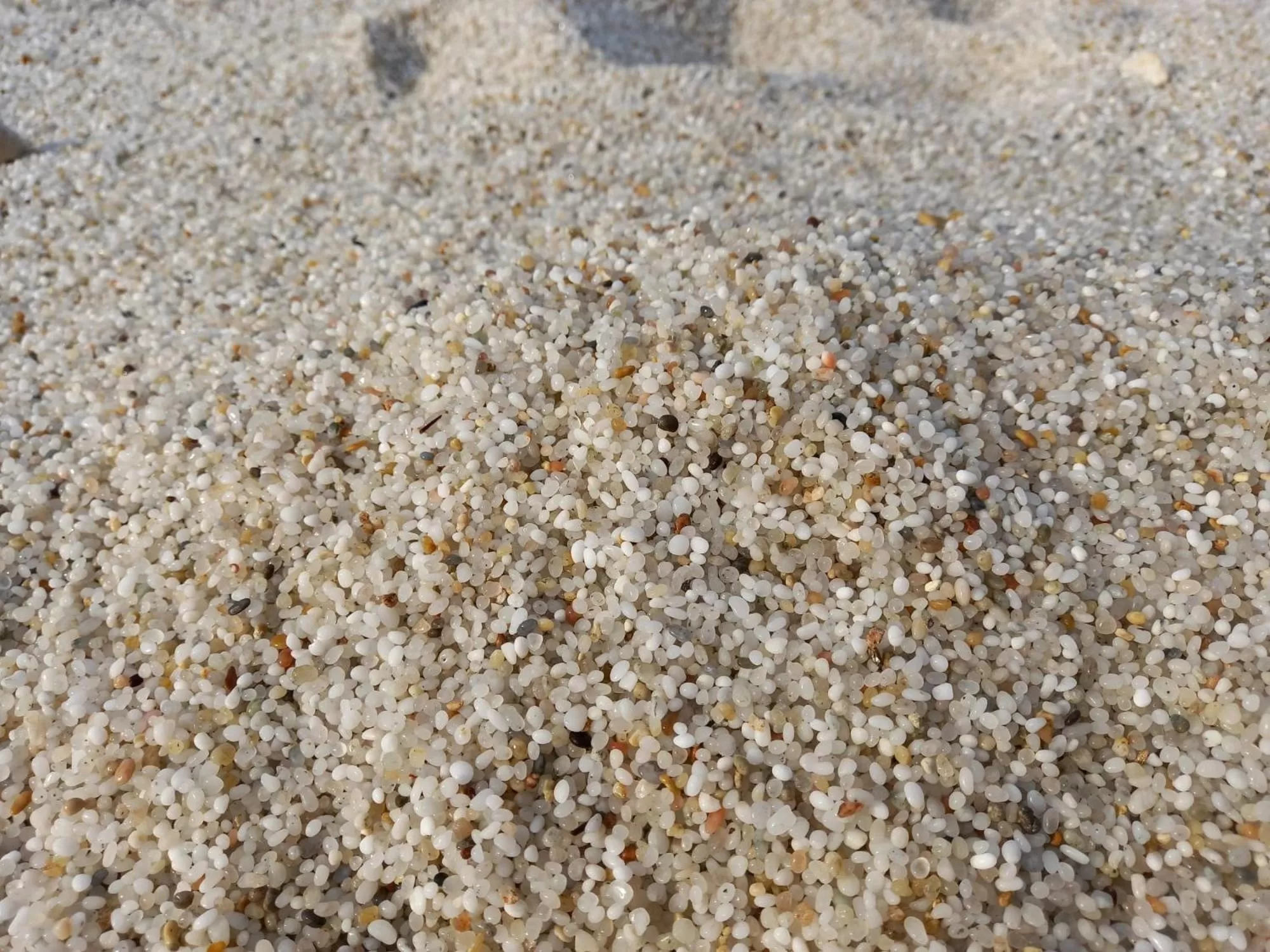 Beach in Bed & Breakfast Paui