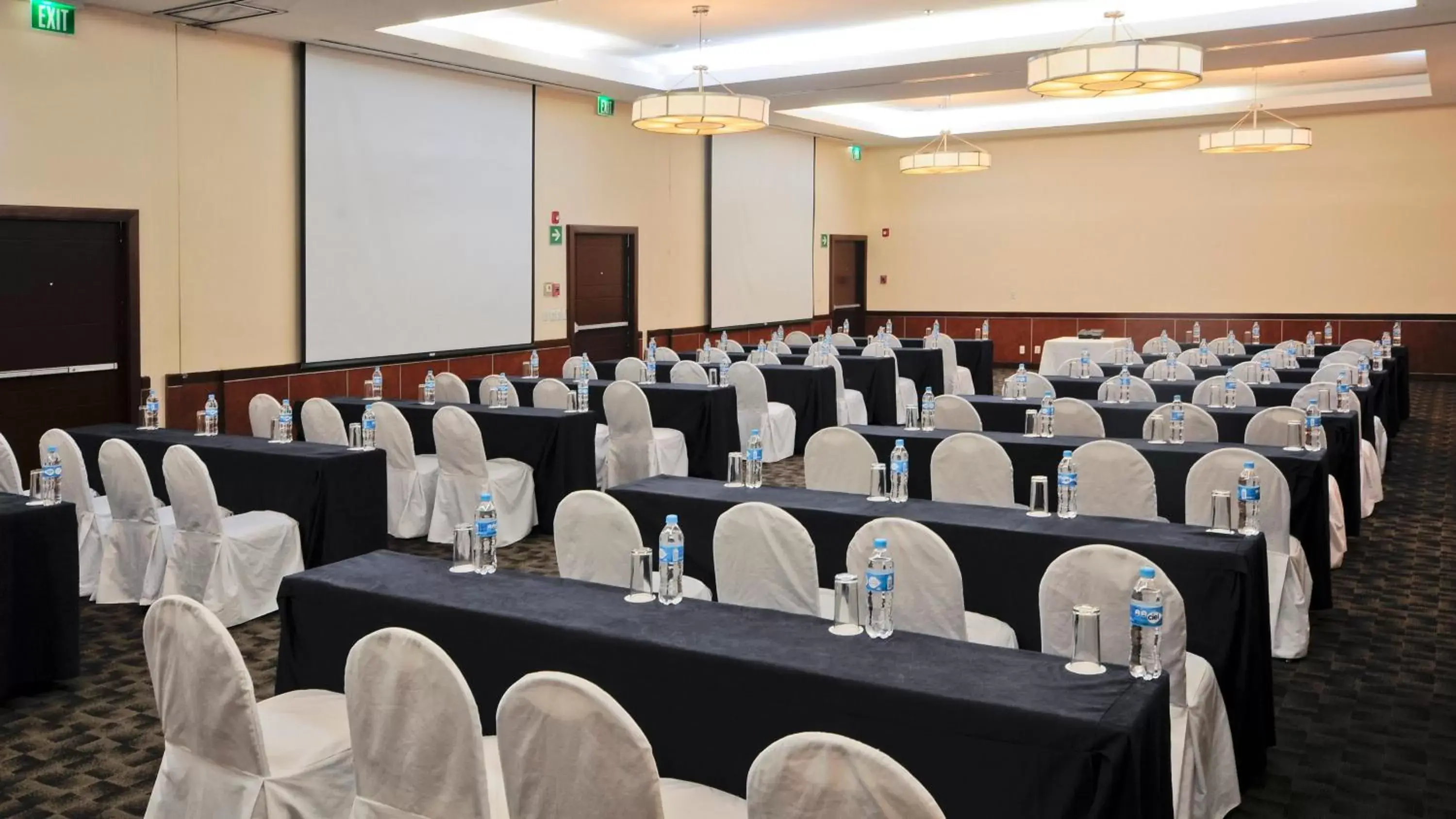 Banquet/Function facilities in Holiday Inn Uruapan, an IHG Hotel