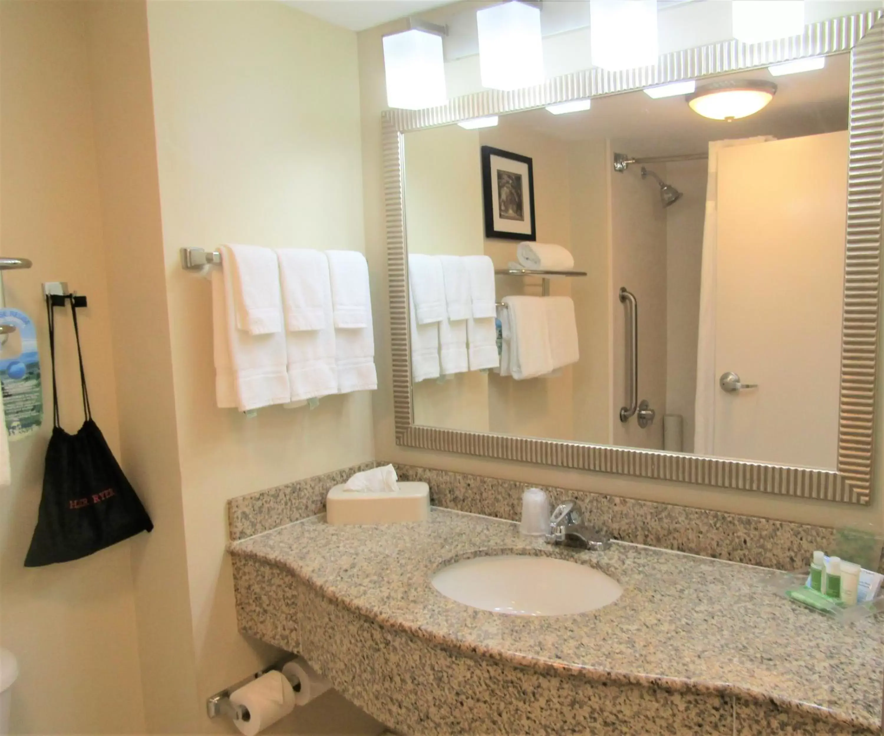 Bathroom in Holiday Inn St. Augustine - Historic, an IHG Hotel