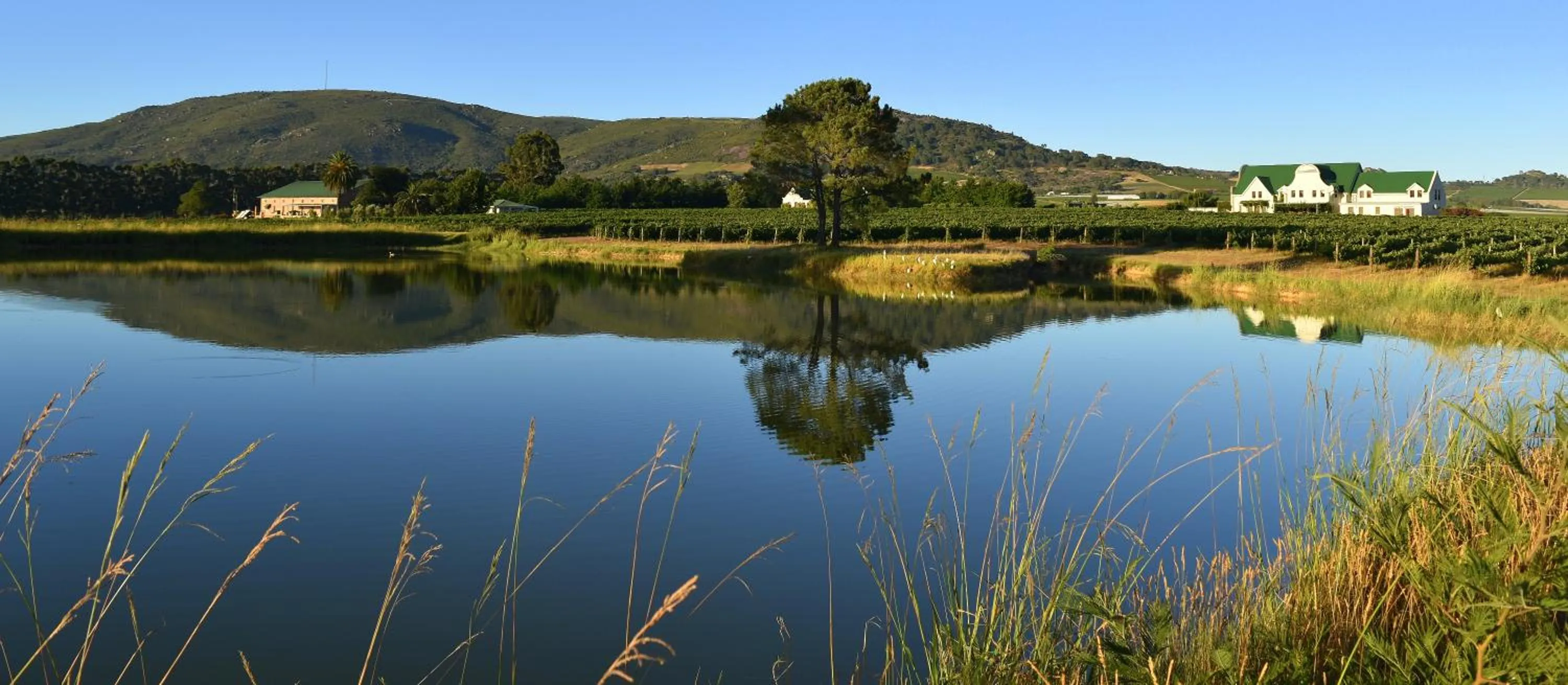 Natural landscape in Cana Vineyard Guesthouse
