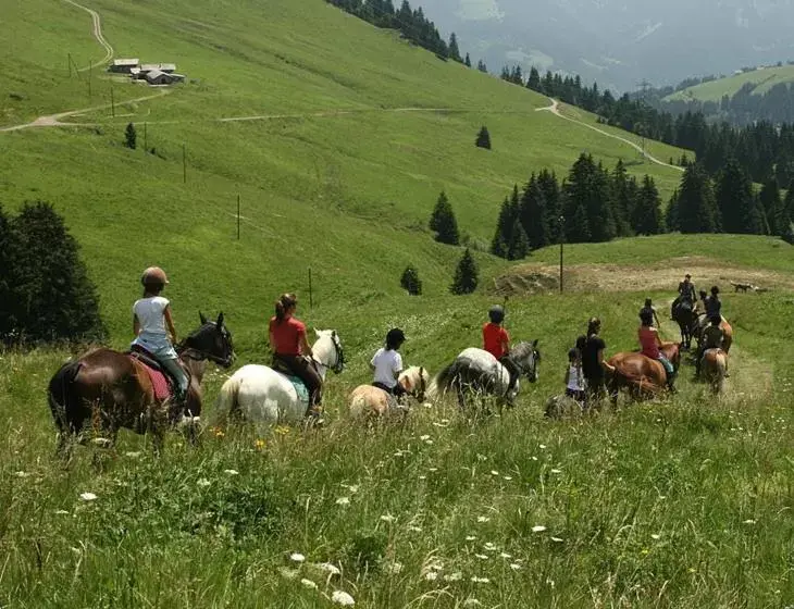 Horse-riding, Horseback Riding in Boutique-Hôtel Chez Jan