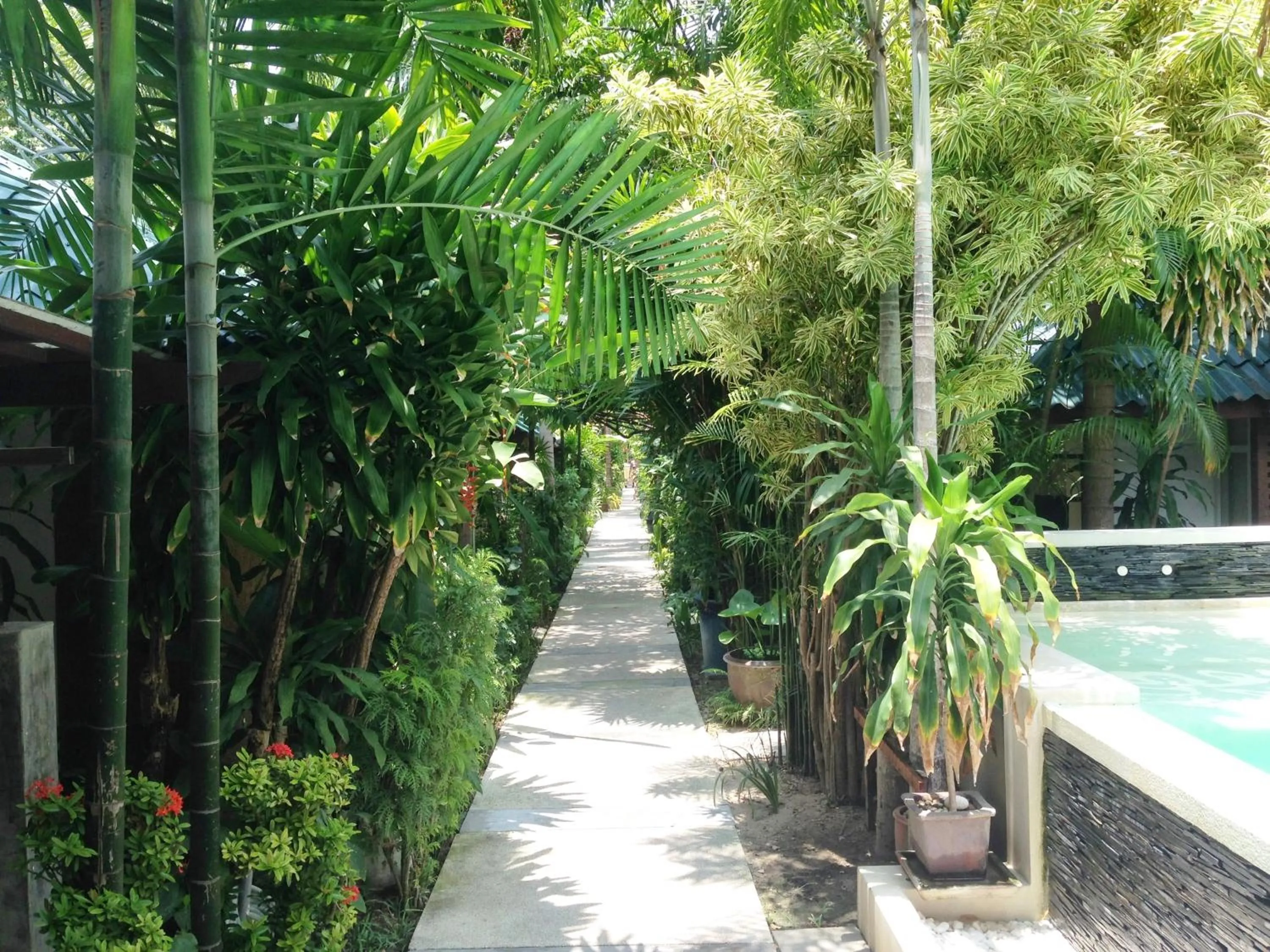 Day in Evergreen Resort