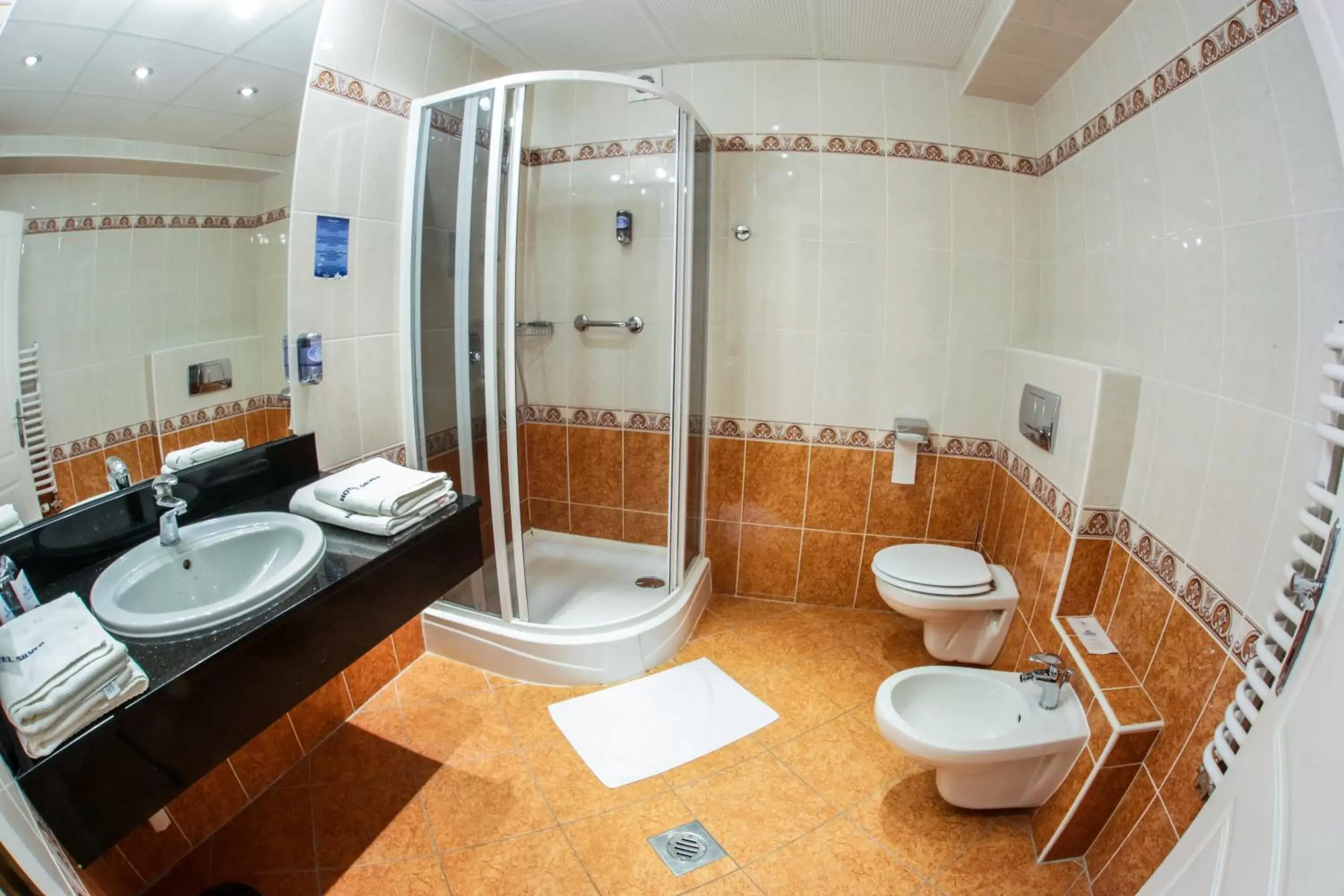 Shower, Bathroom in Hotel Silver