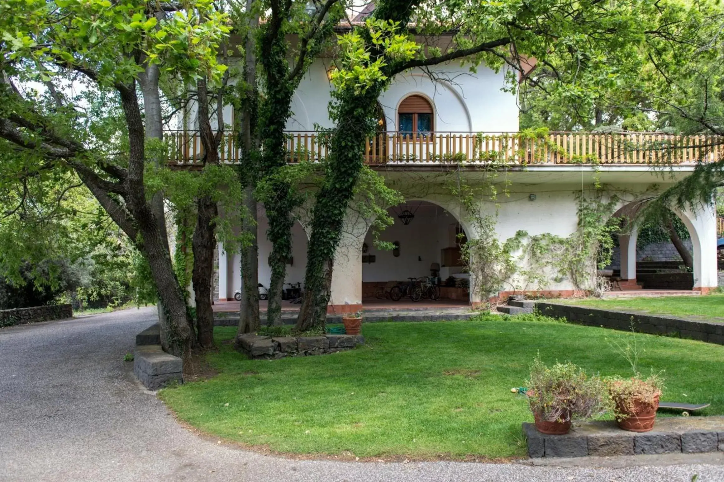 Garden, Property Building in Domus Verdiana