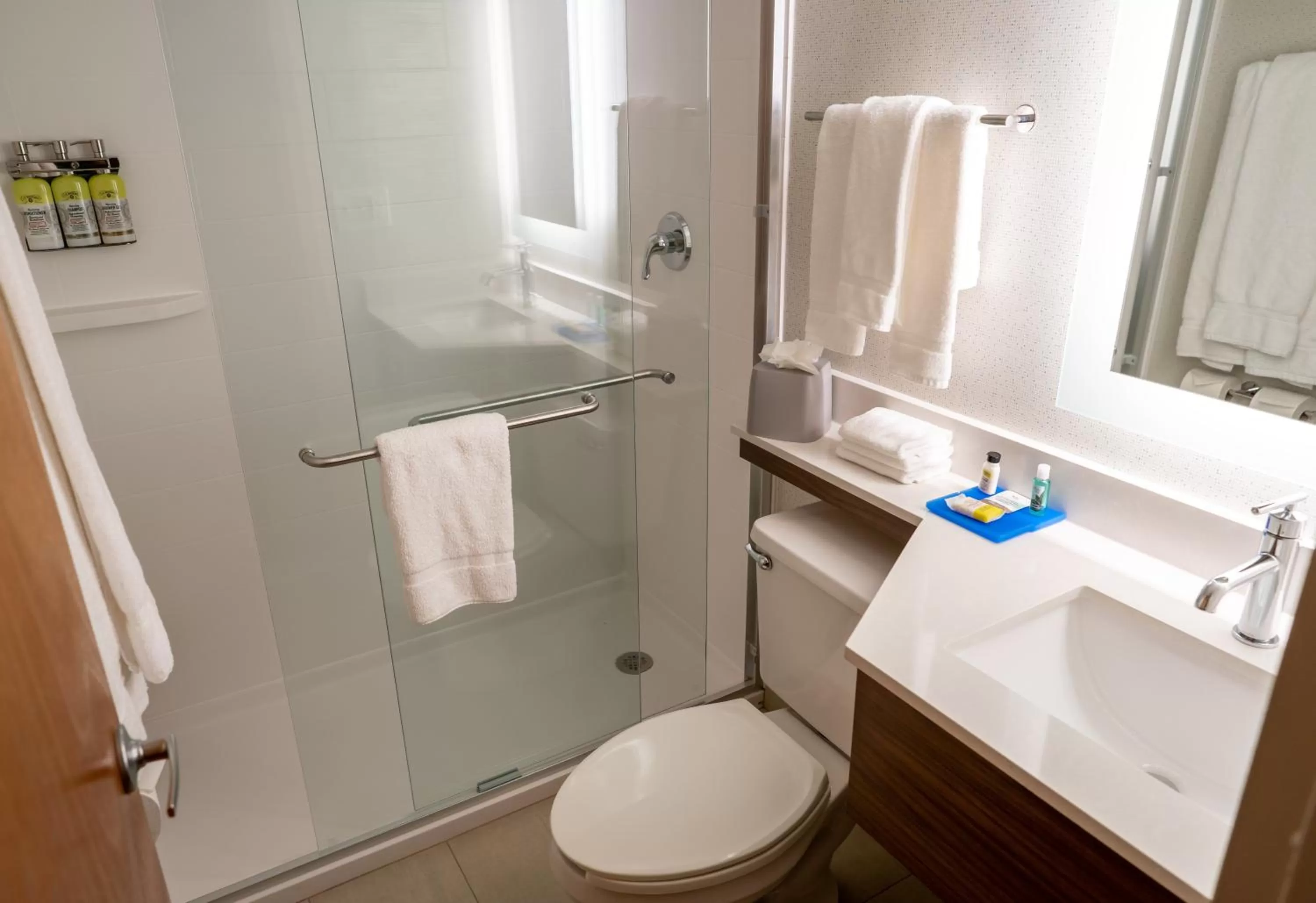 Bathroom in Holiday Inn Express Boston by IHG