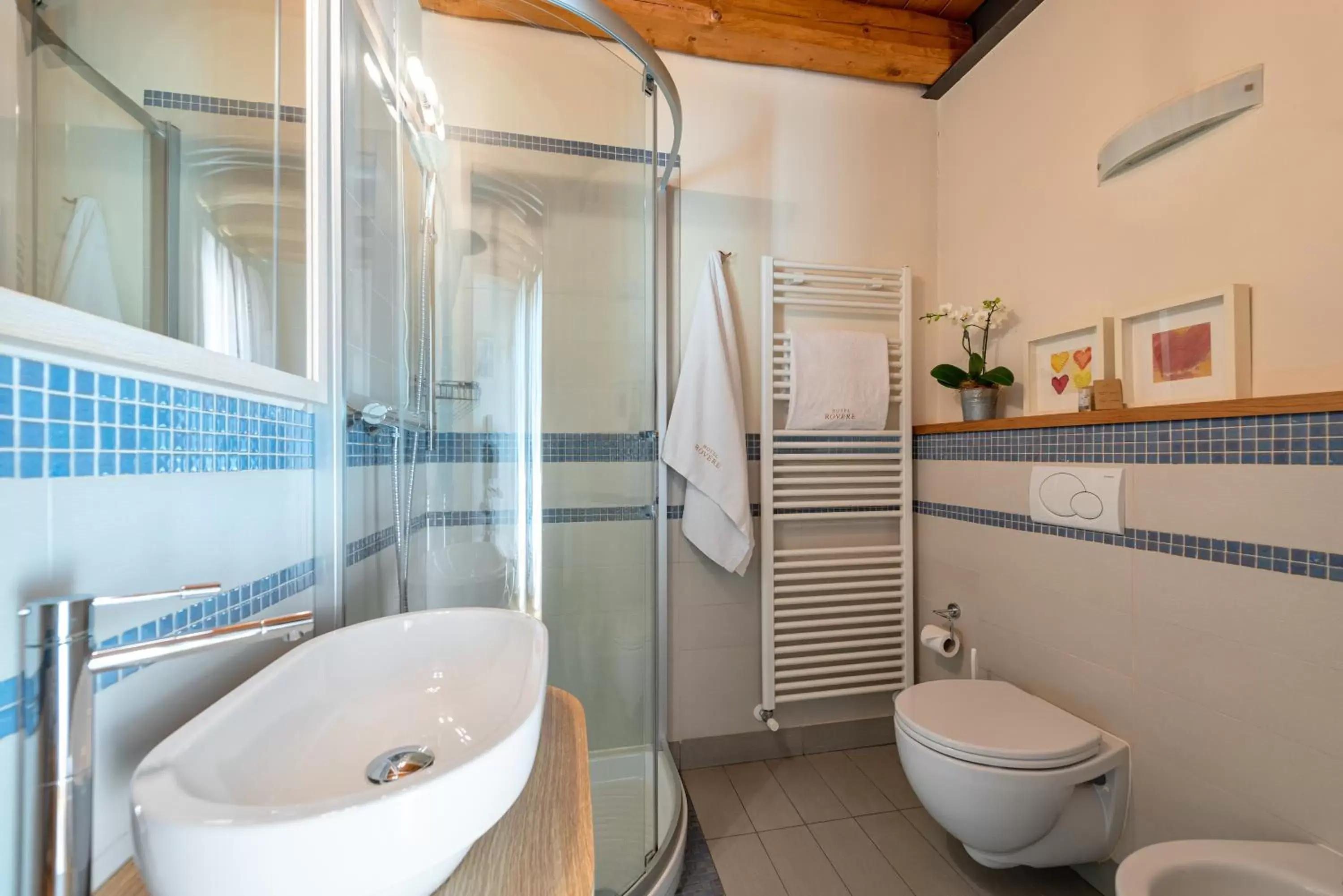 Shower, Bathroom in Hotel Rovere