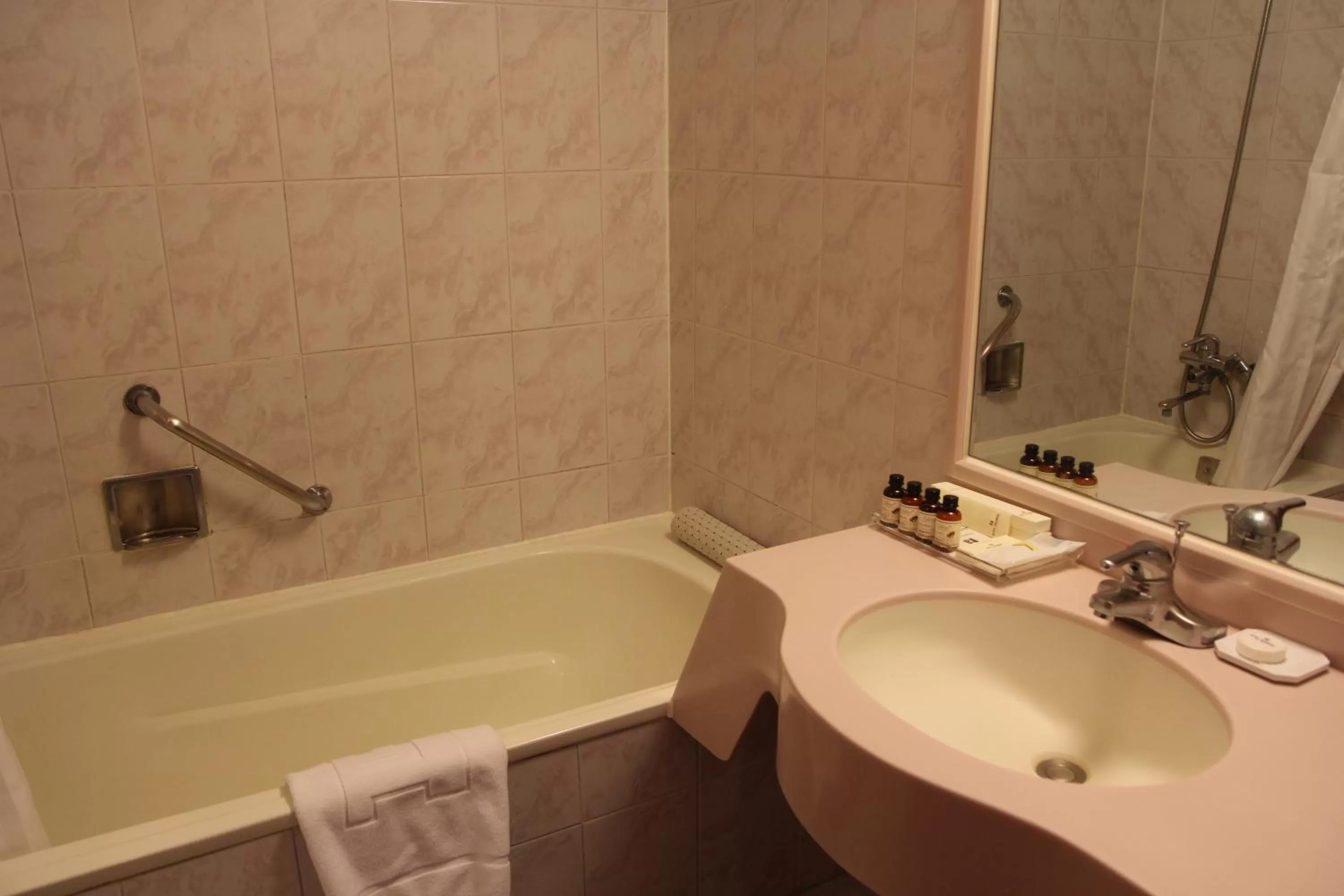 Double Room in Hotel President