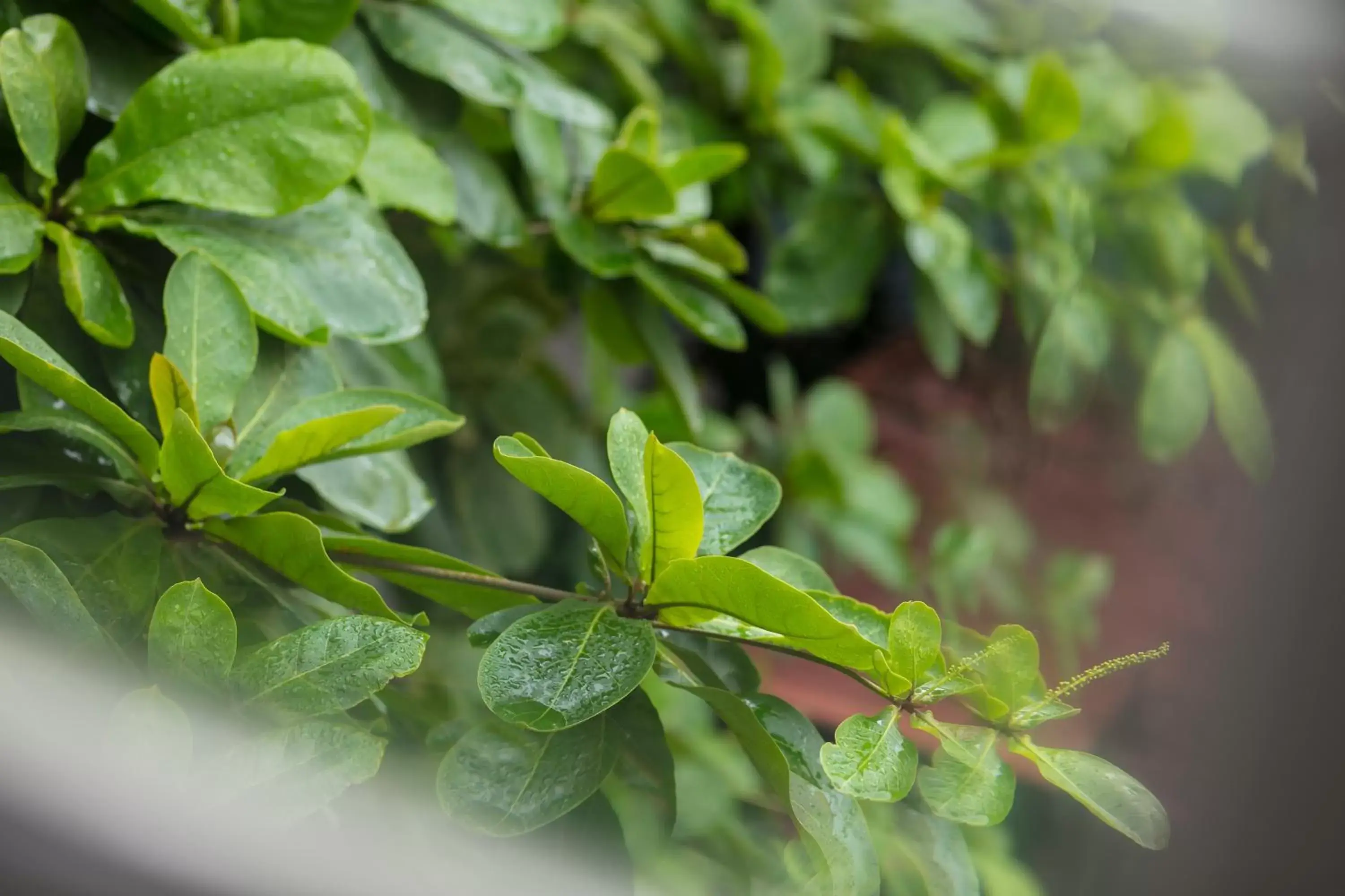 Street view in Hanoi Fantasea Hotel Street view in Hanoi Fantasea Hotel