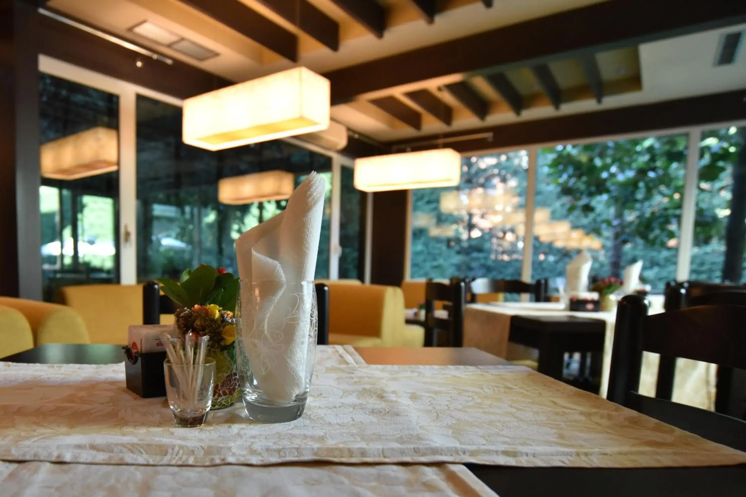 Restaurant/Places to Eat in Hotel Sokrat