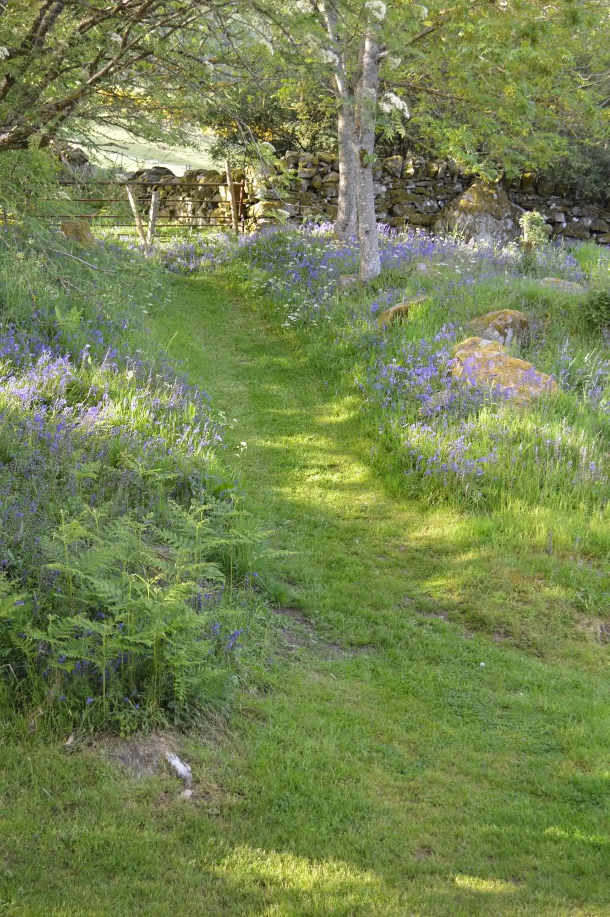 Natural landscape, Garden in The Steading