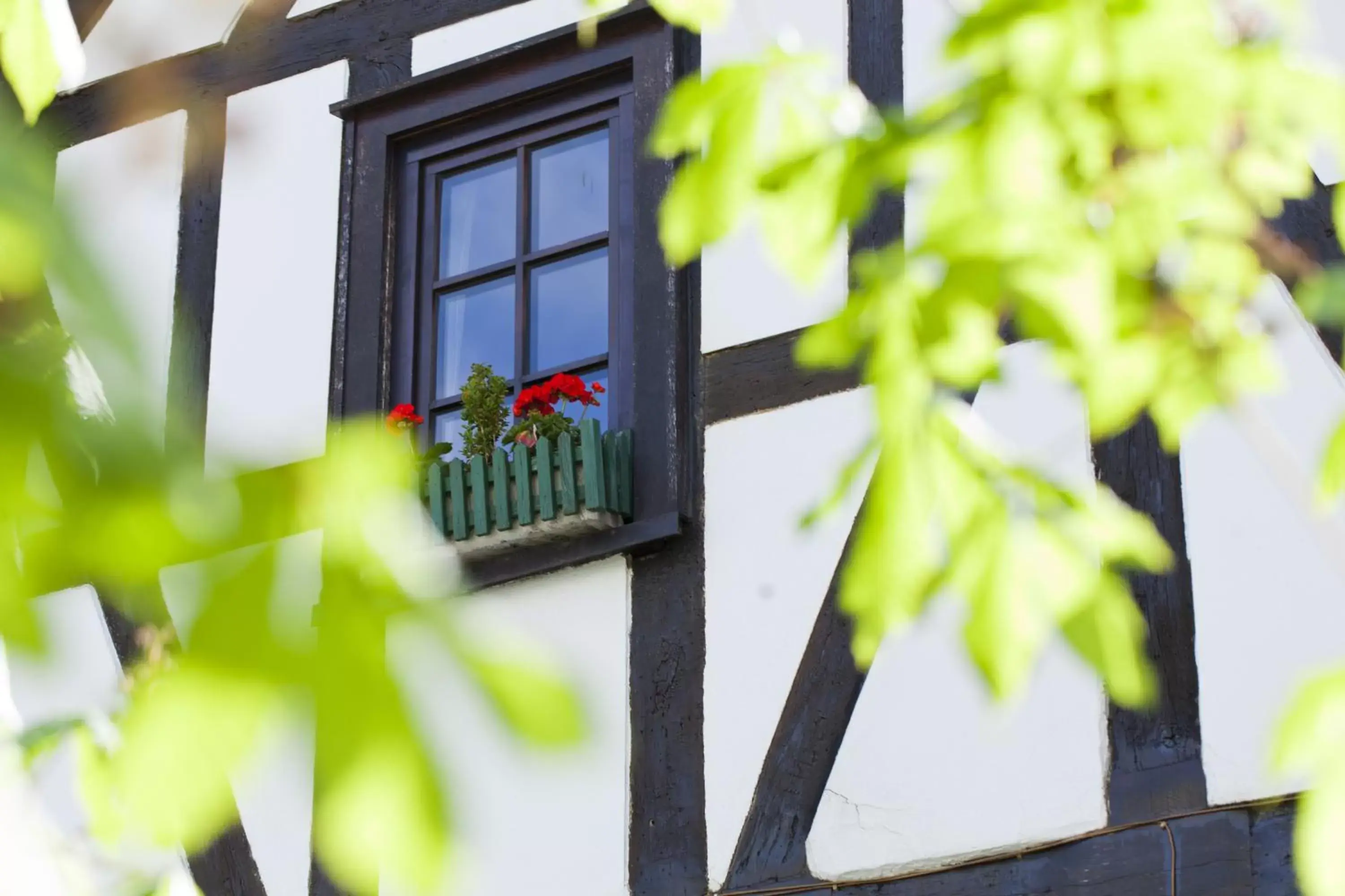 Facade/entrance in Romantik Hotel Alte Vogtei