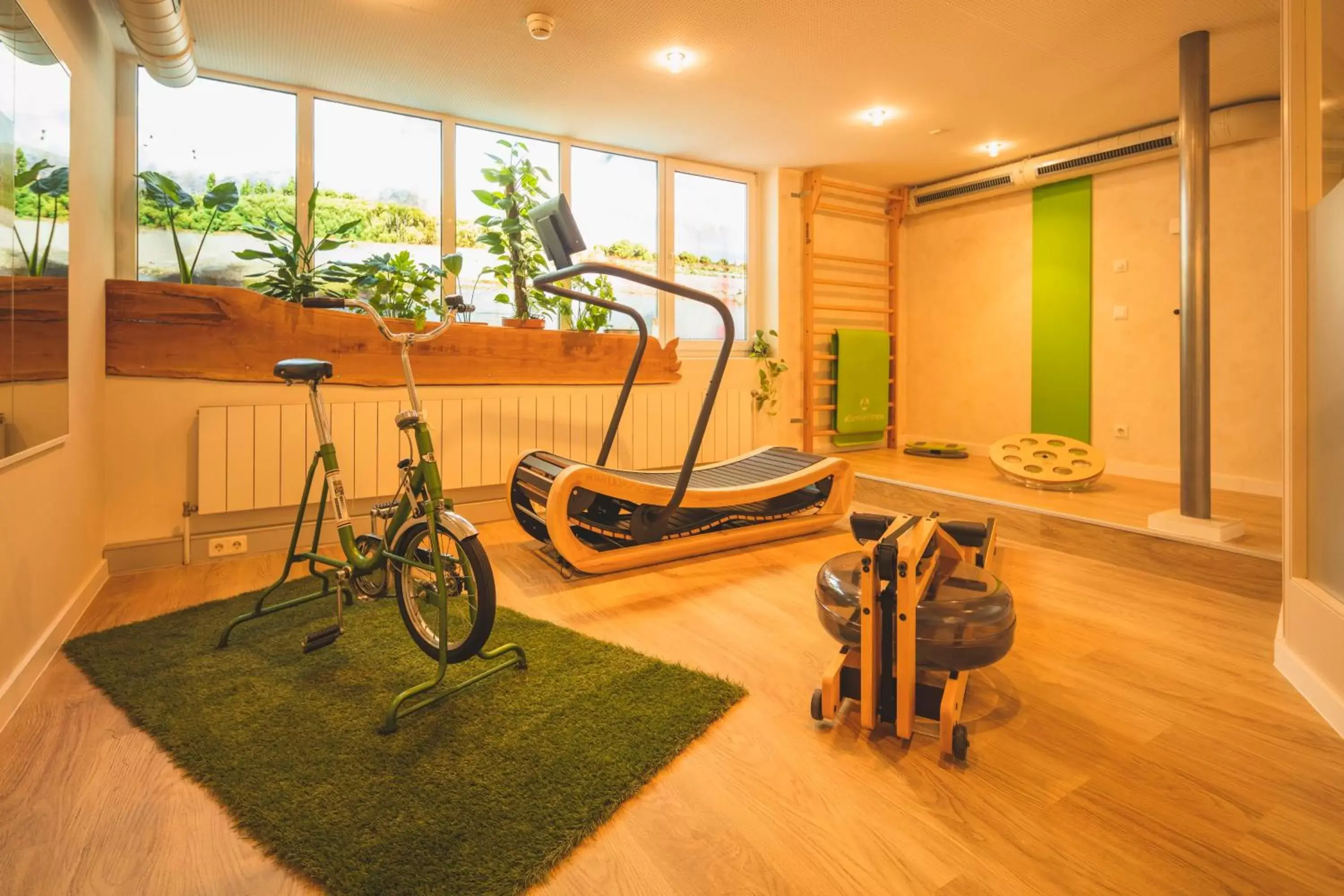 Fitness centre/facilities, Fitness Center/Facilities in Creativhotel Luise
