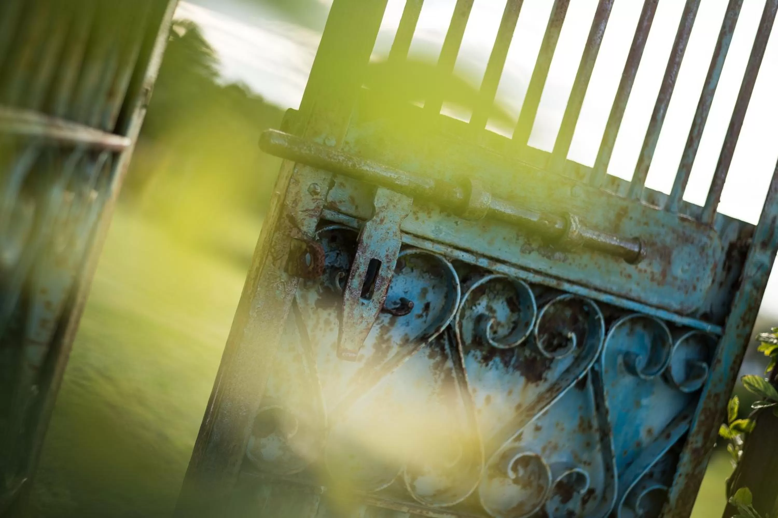 Garden, BBQ Facilities in Ferme Elhorga