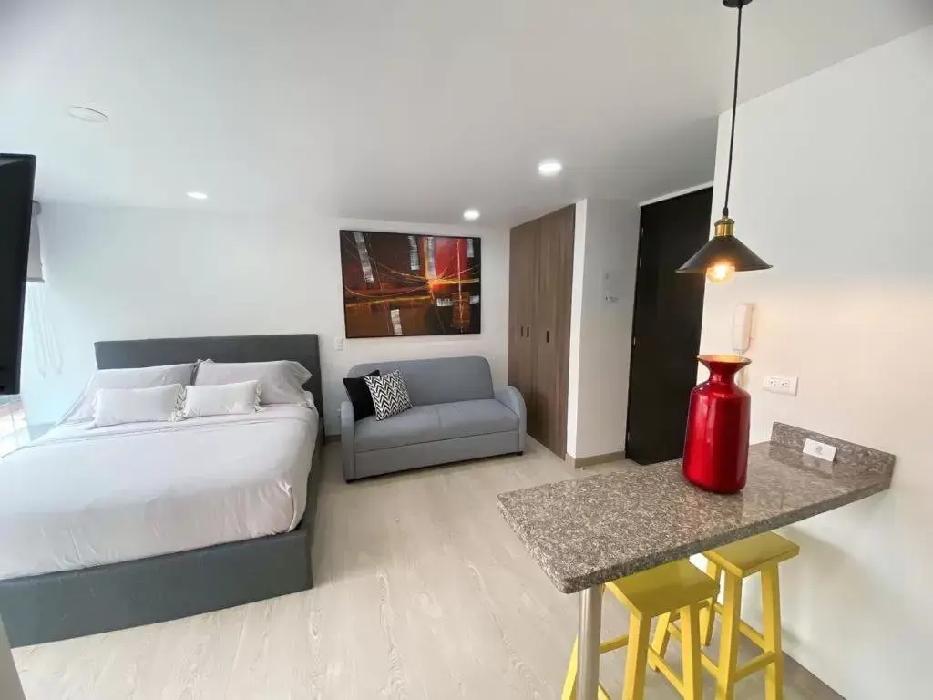 Standard Studio in Spacio 30 Standard Studio in Spacio 30