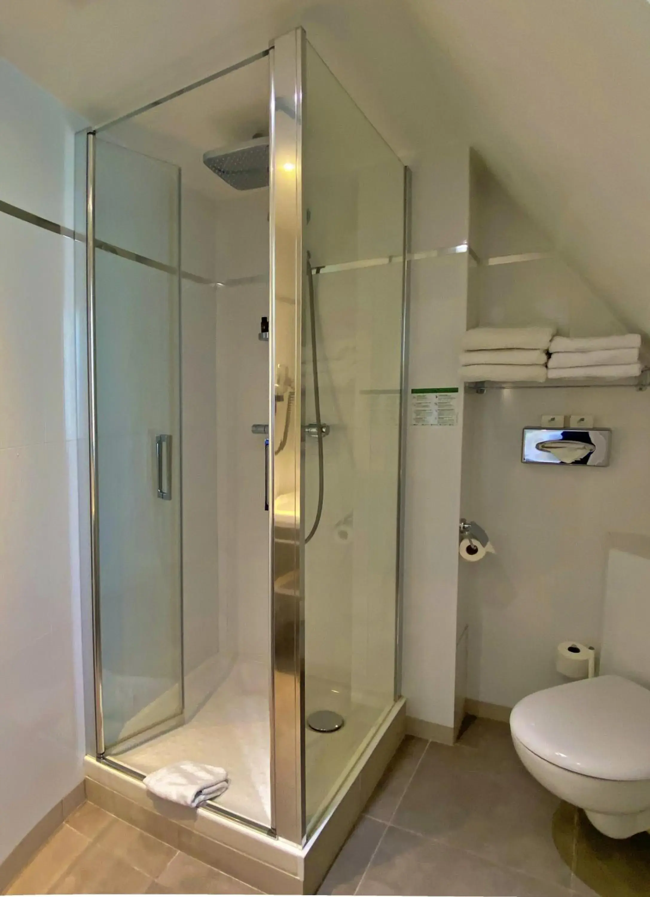 Shower, Bathroom in Austin's Saint Lazare Hotel