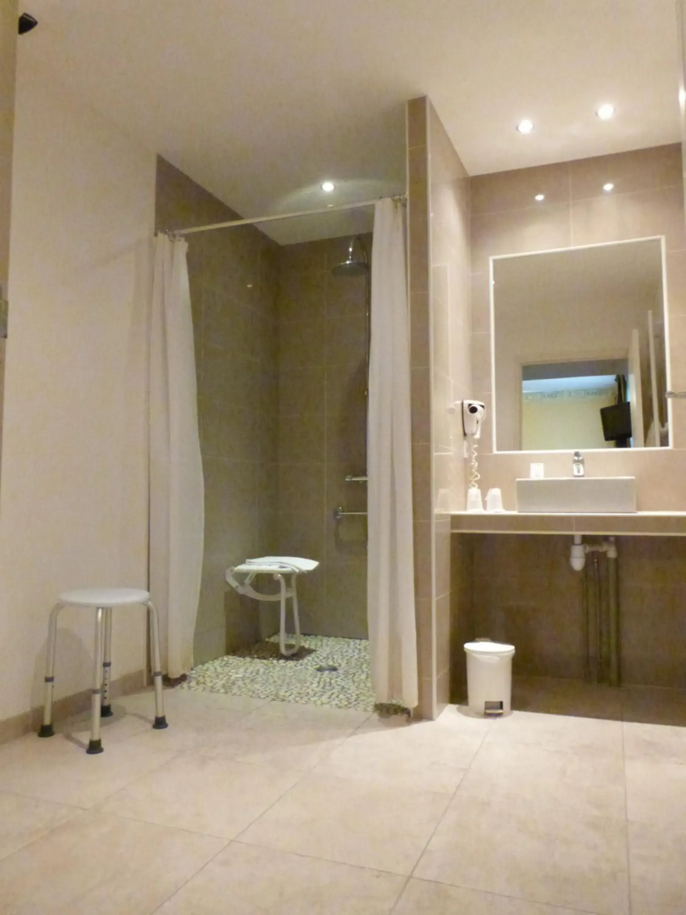 Facility for disabled guests, Bathroom in Logis Hôtel des Châteaux