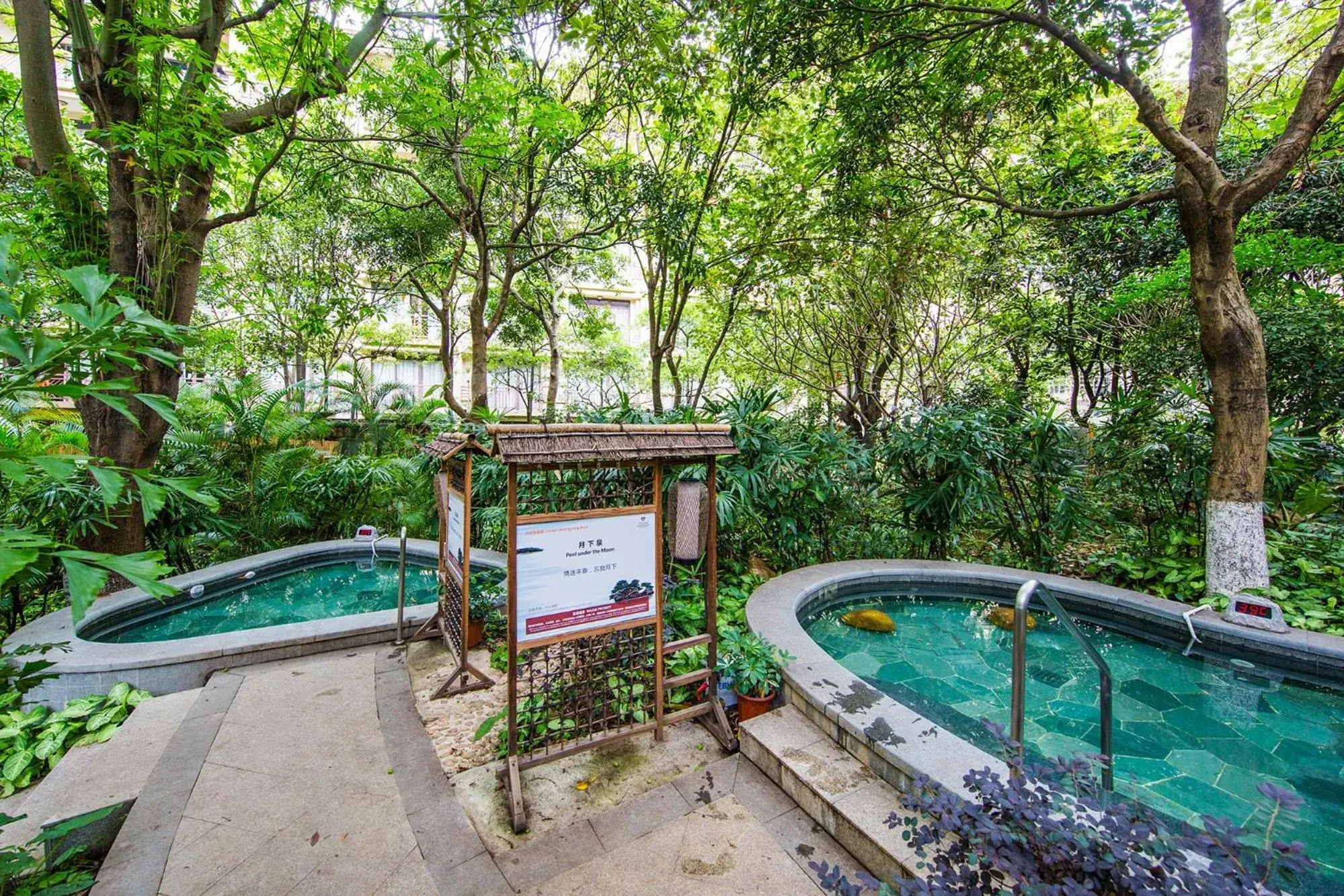 Hot Tub, Swimming Pool in Dongguang Richwood Garden Hotel