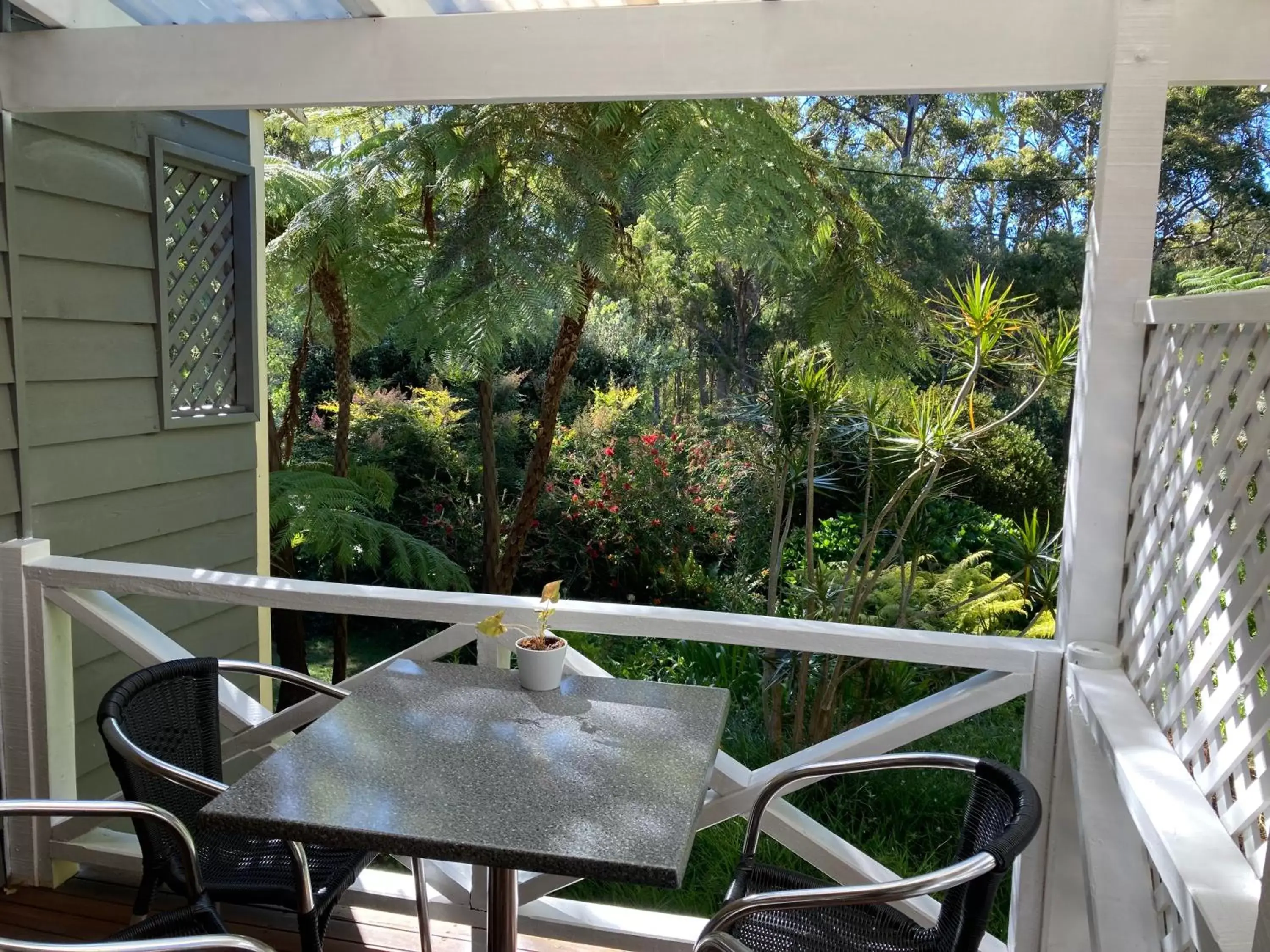 Patio, Balcony/Terrace in Edge Of The Forest Motel