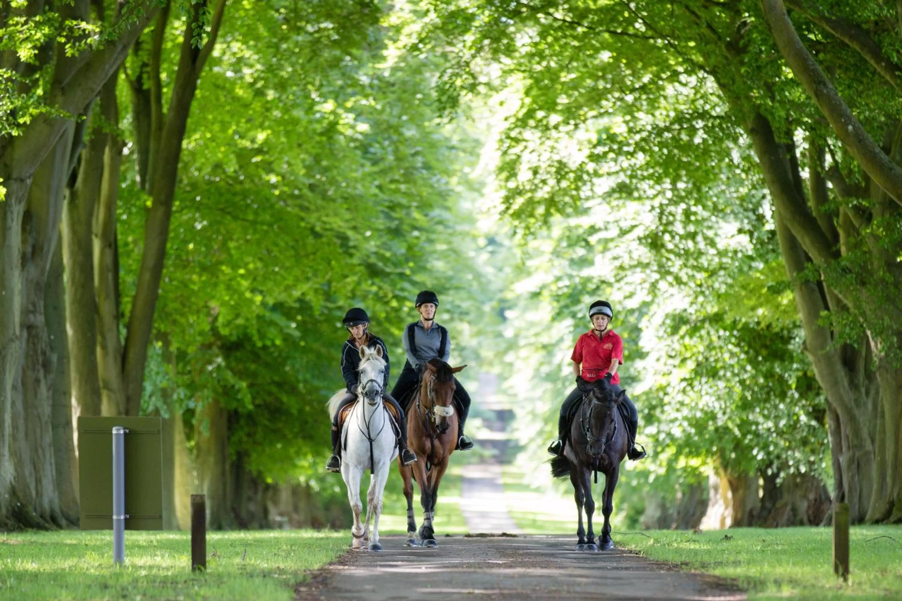 Horse-riding in Lucknam Park, Emblems Collection