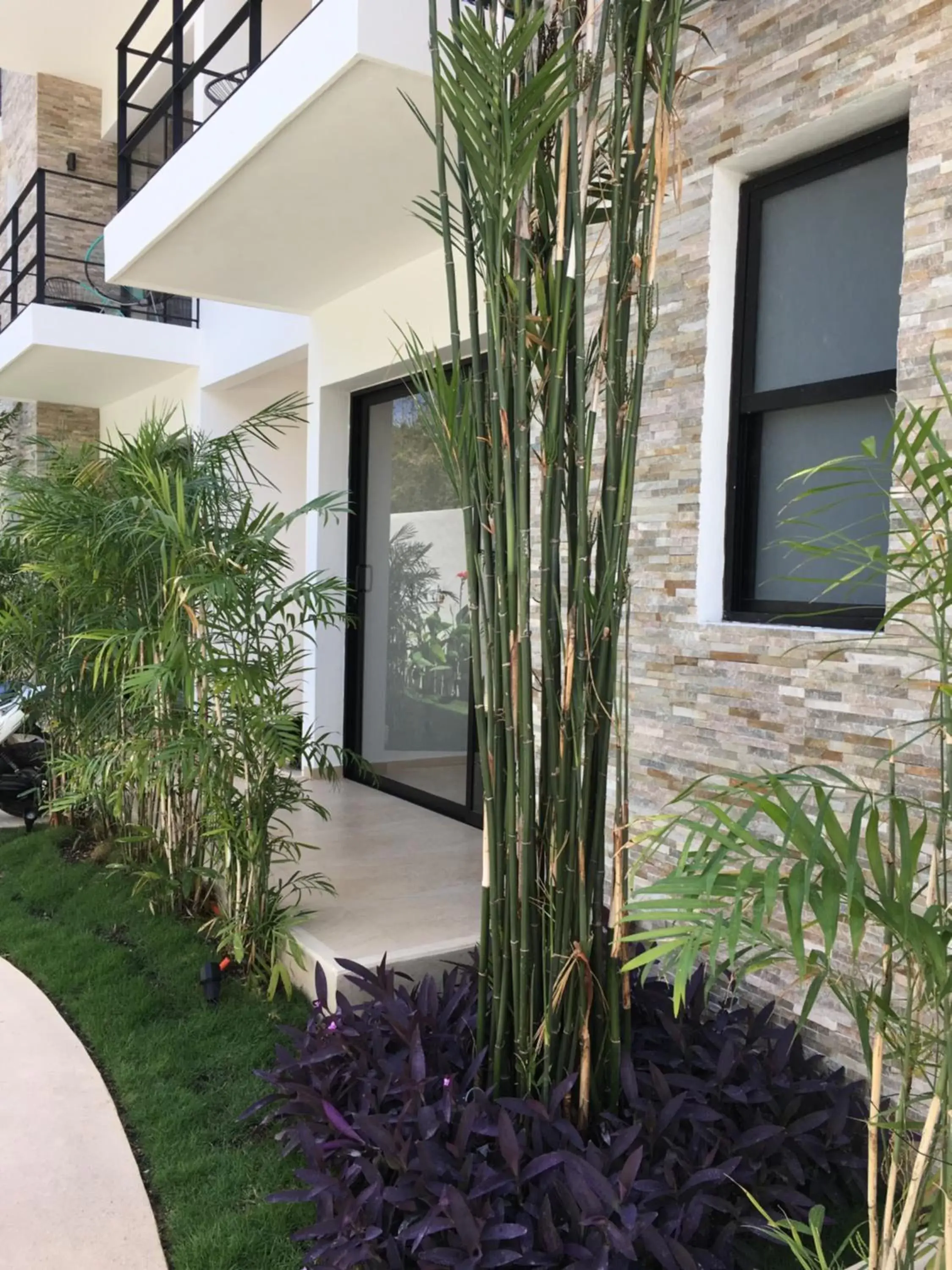 Spring, Property Building in Yaax Kiin Tulum