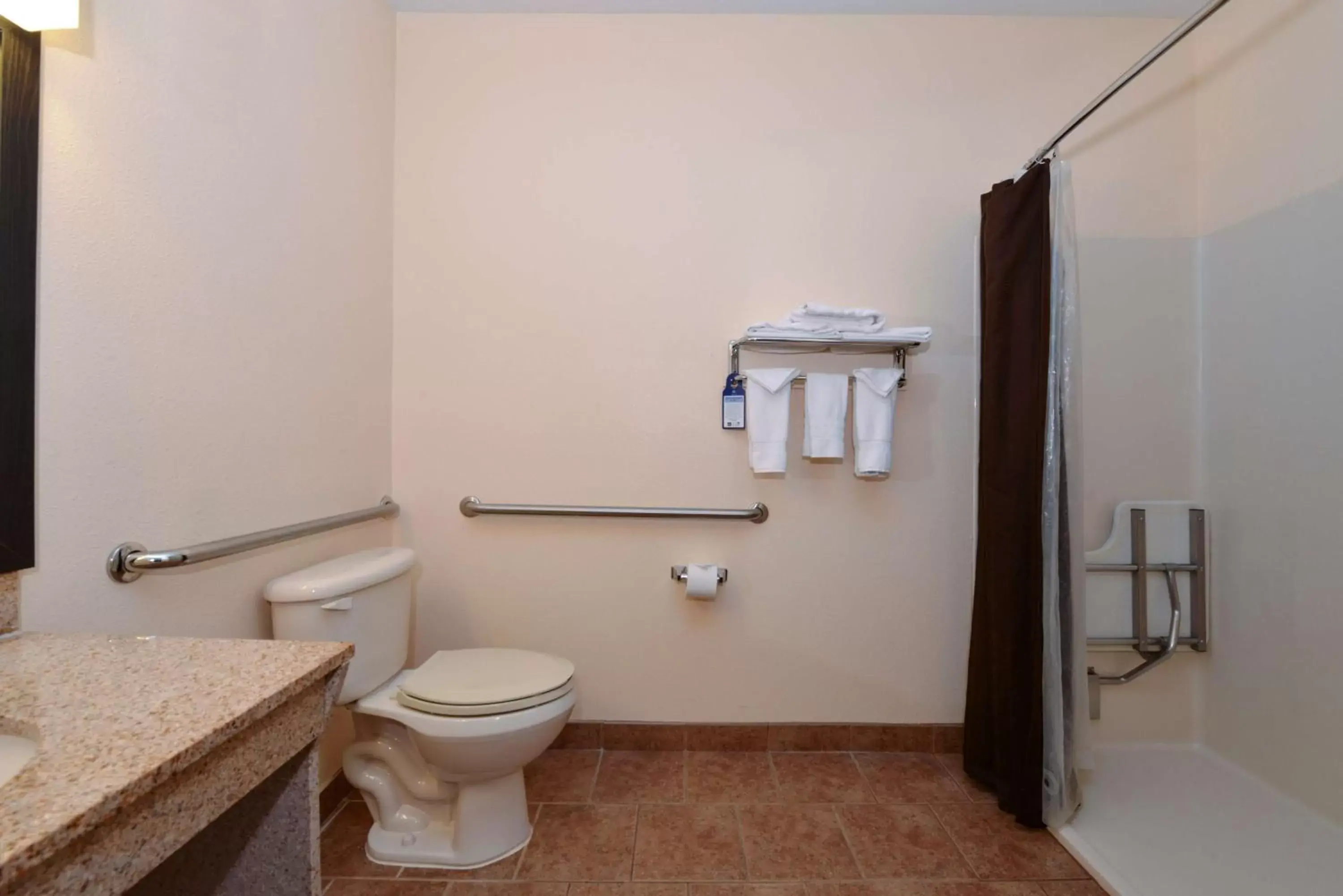 Bathroom in Best Western Laramie Inn & Suites