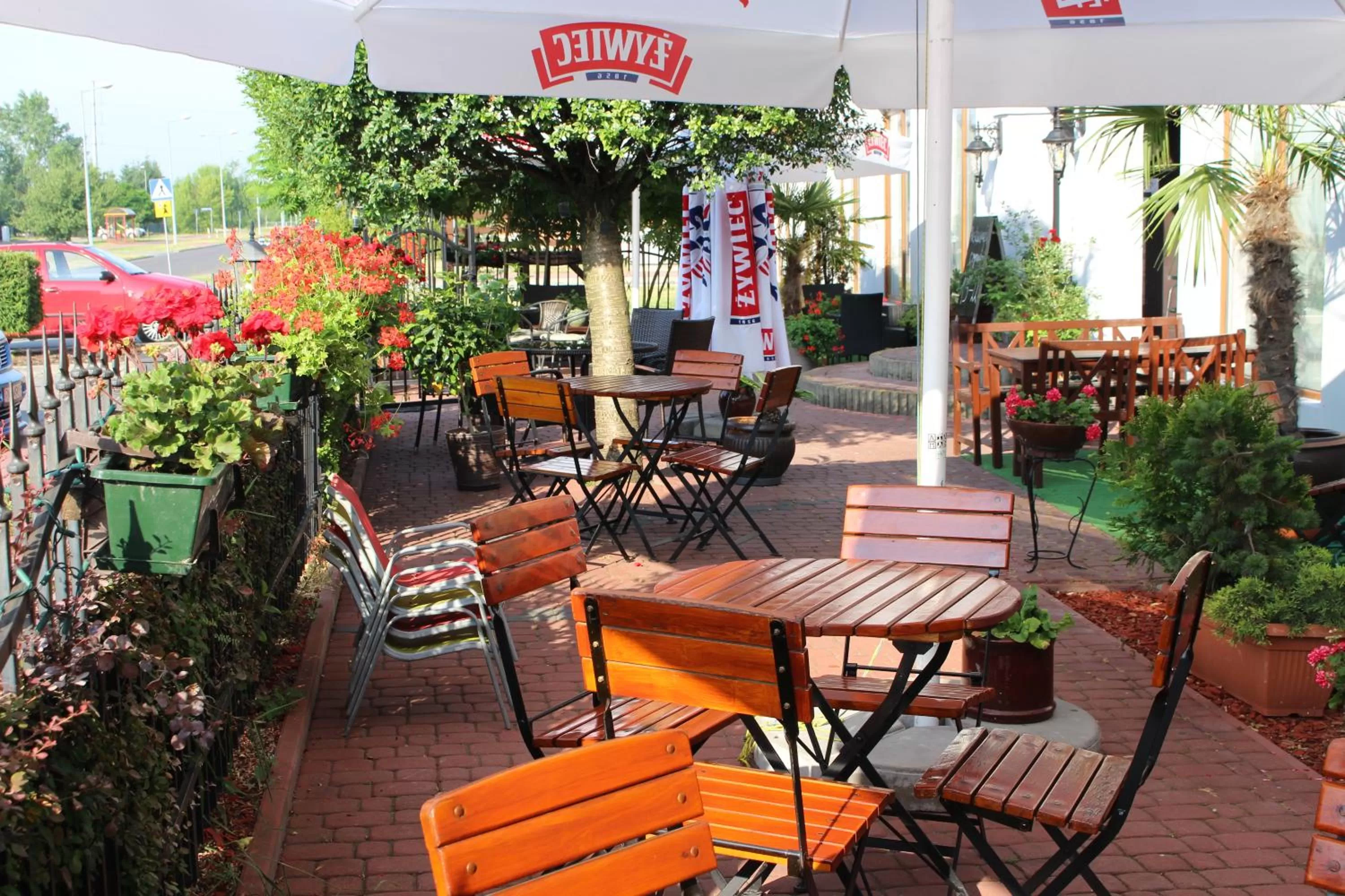 Patio in PIANO CAFE b&b