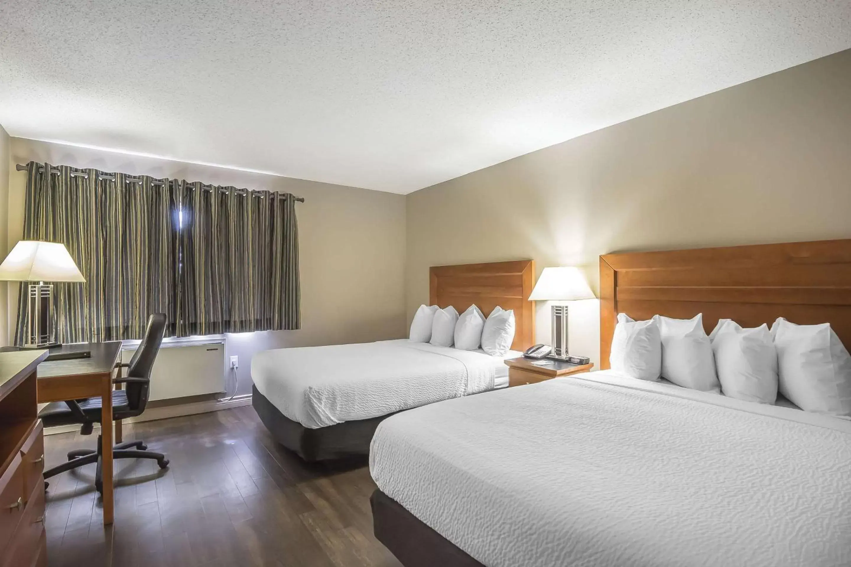 Photo of the whole room, Bed in Quality Inn West Edmonton