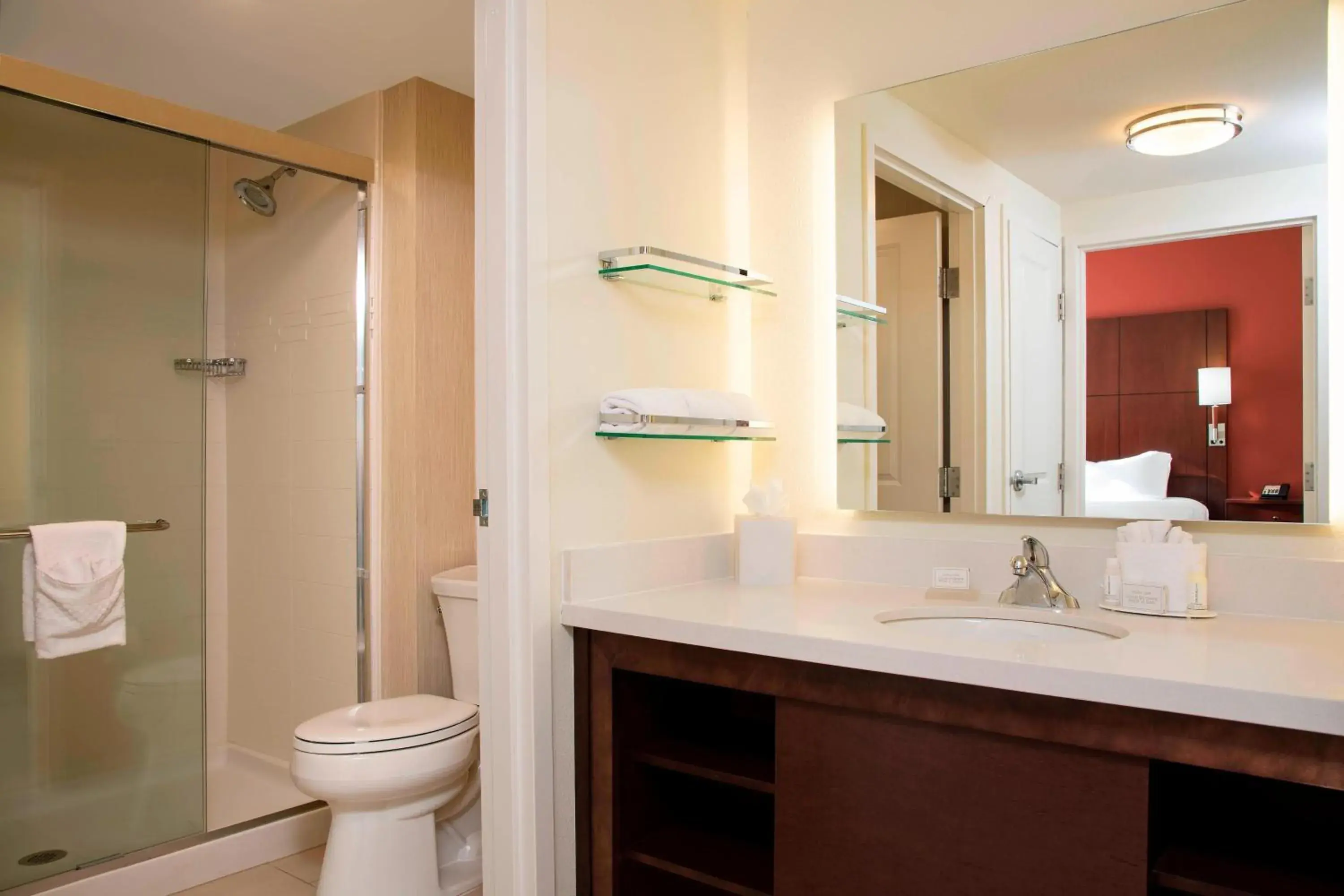 Bathroom in Residence Inn by Marriott Austin - University Area