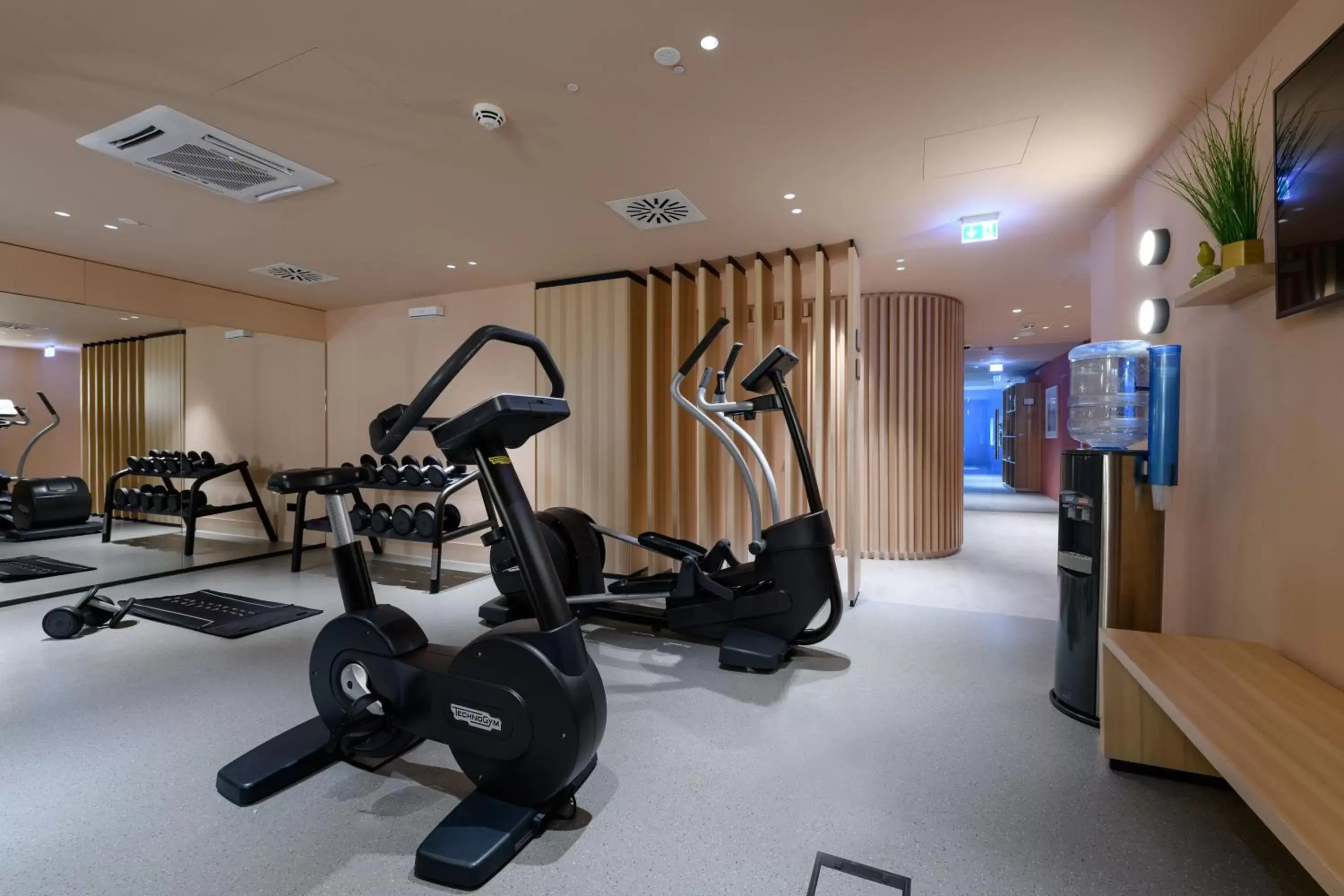 Fitness centre/facilities, Fitness Center/Facilities in Mercure Hotel Wiesbaden City