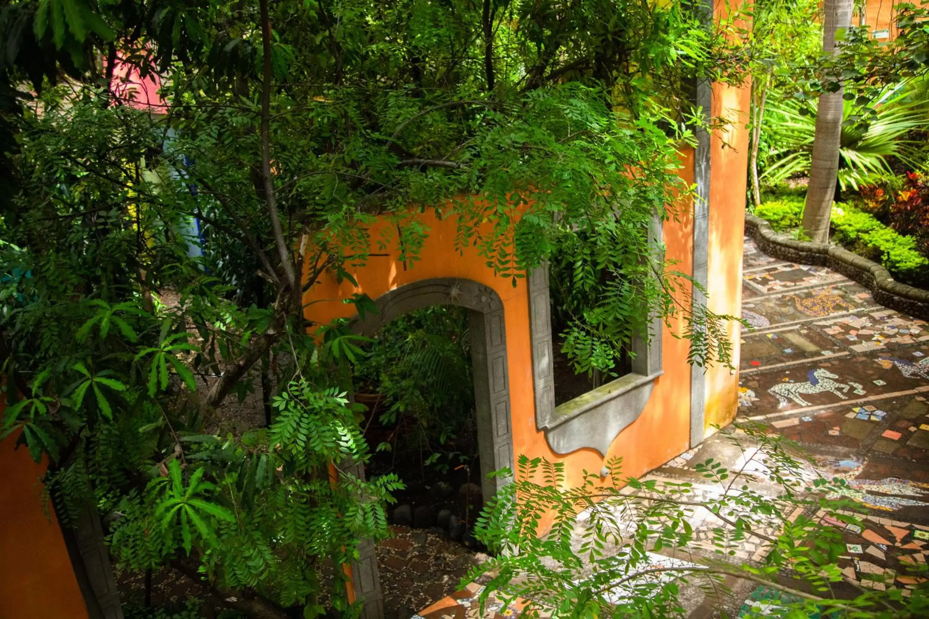 Garden in Hotel La Casa de los Árboles Immersive Experience