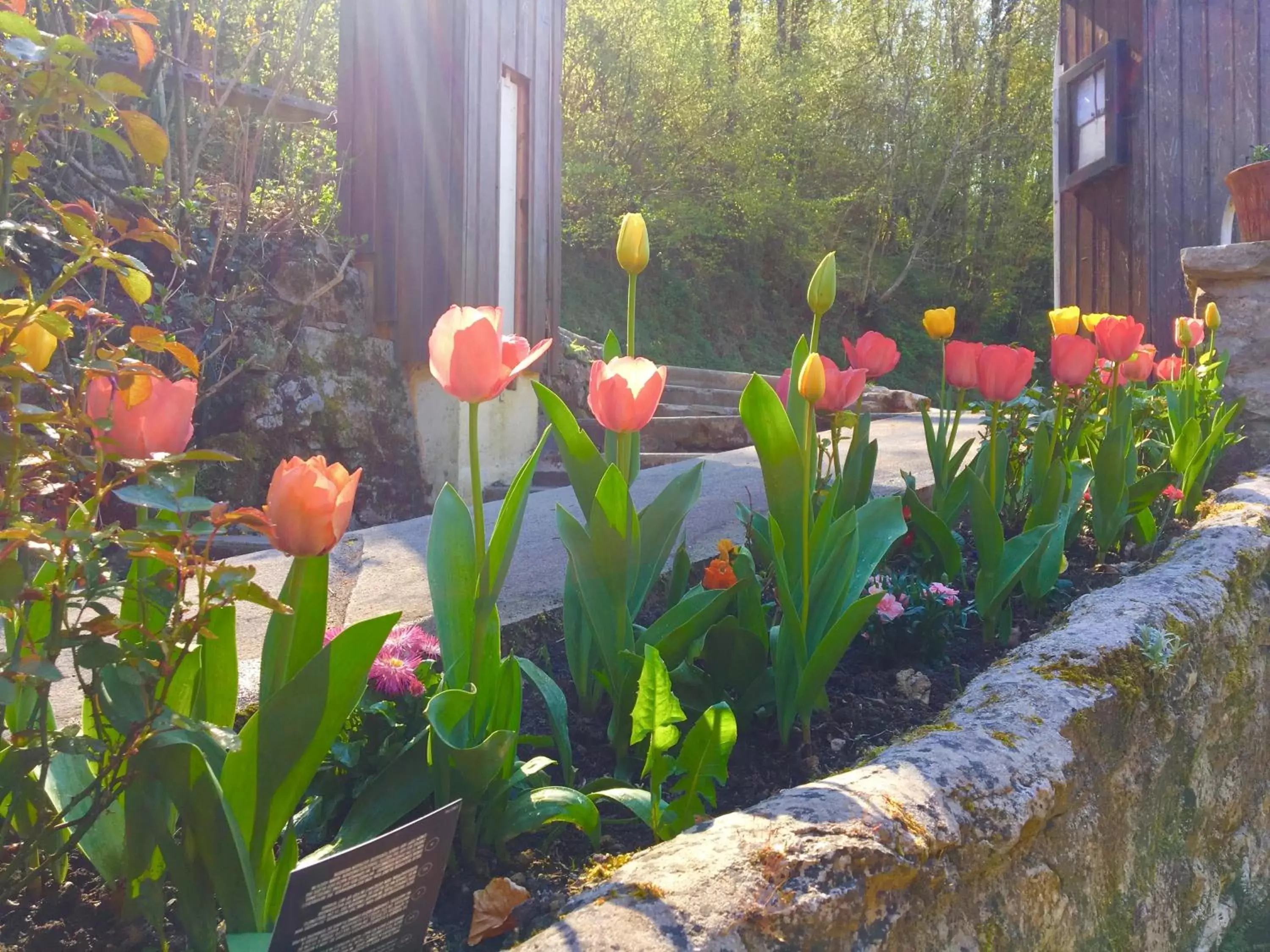 Property building, Garden in Domaine Du Moulin Vallée Heureuse