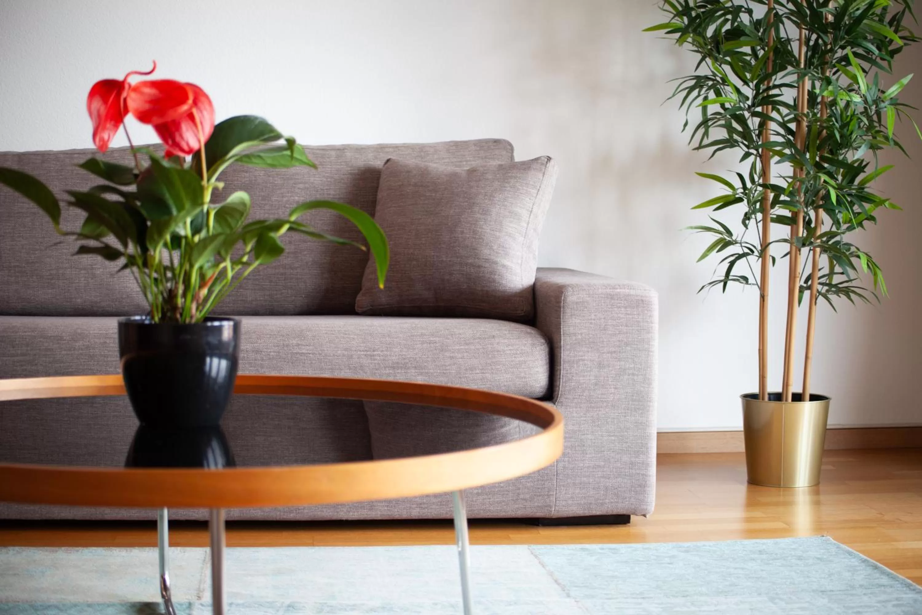 Living room in Tertianum Residenza Al Parco Appartements & Restaurant