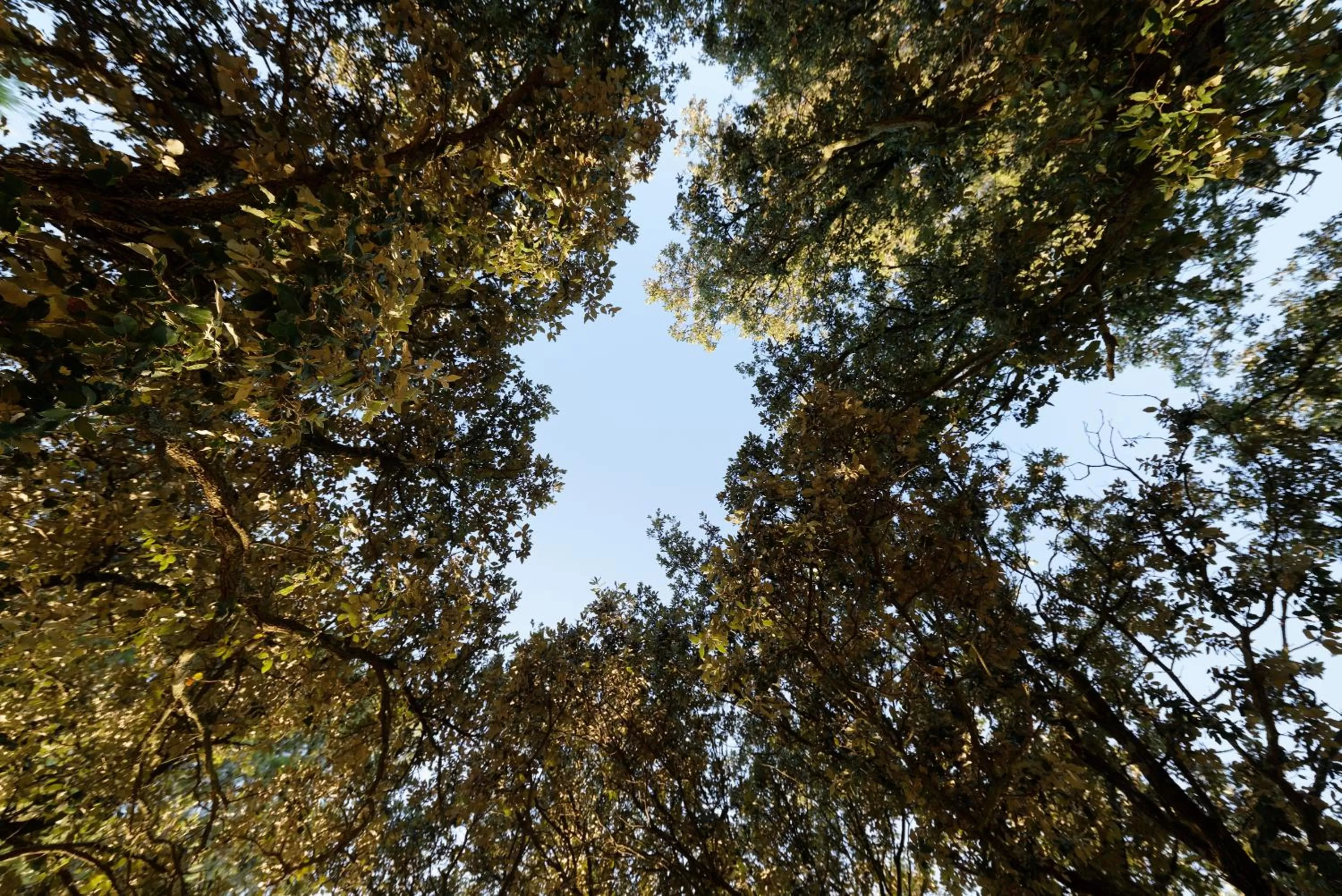 Natural landscape in Domaine la Pierre Blanche