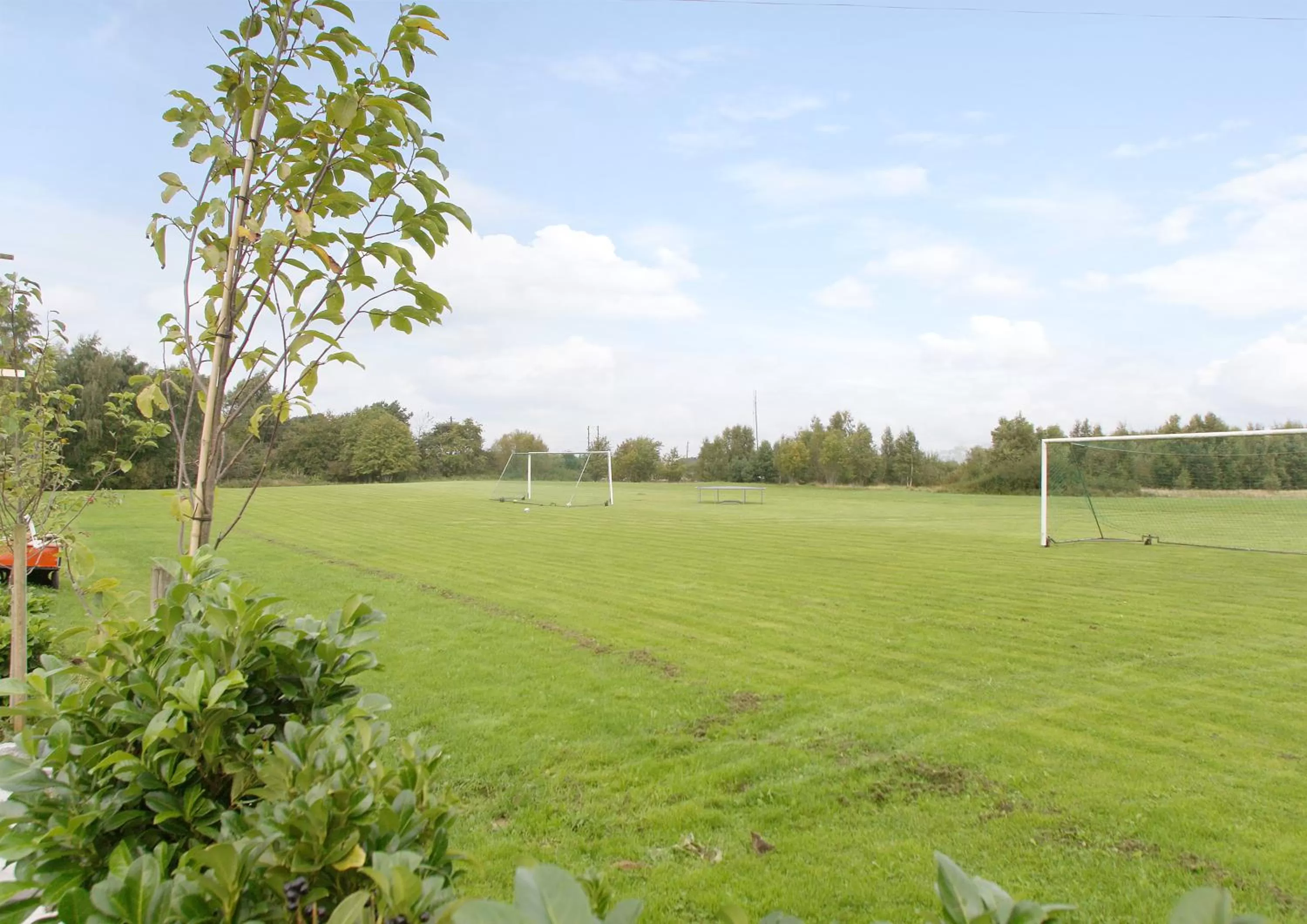 Sports in Åsa Jutegård