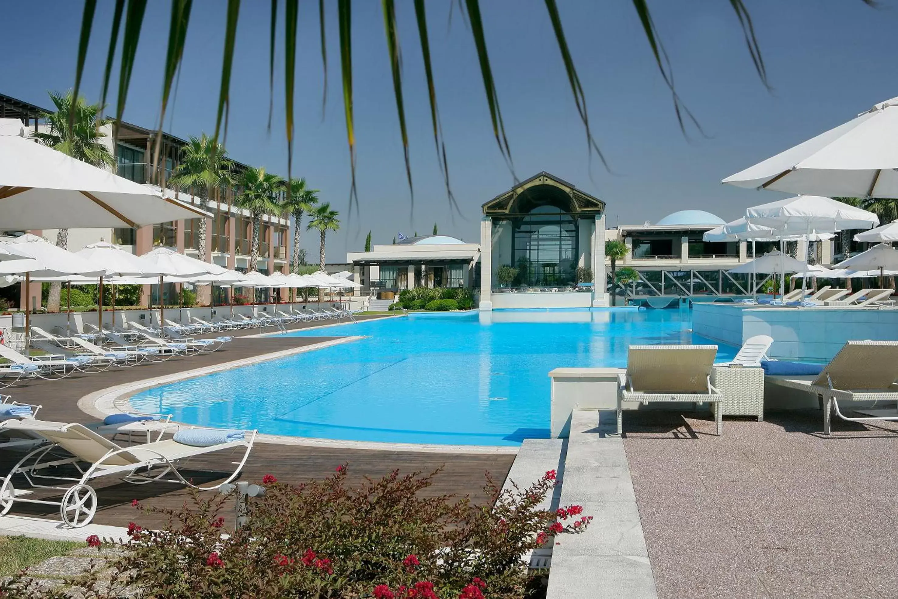 Balcony/Terrace, Swimming Pool in Hotel Nikopolis
