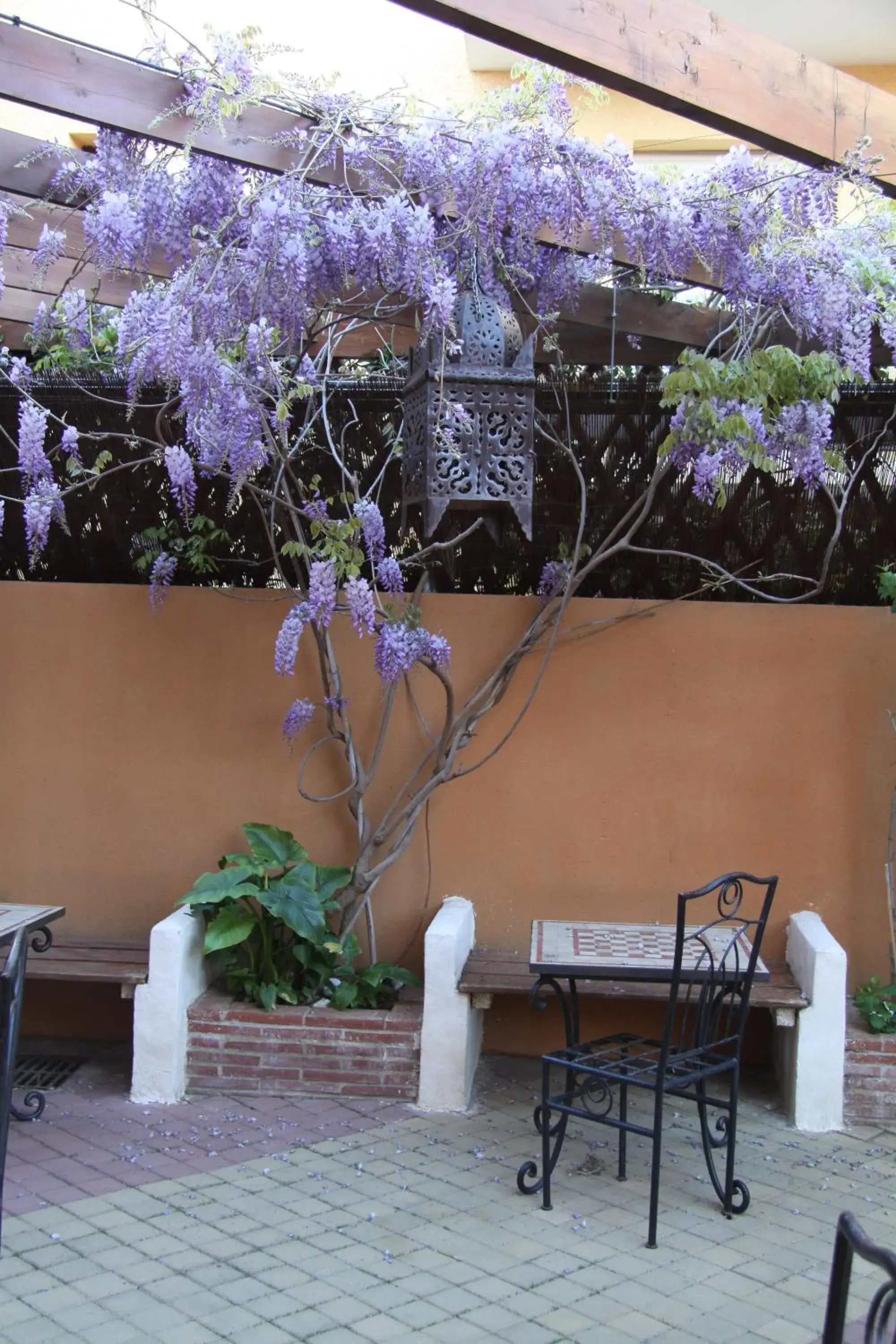 Patio in Logis Hotel De La Clape